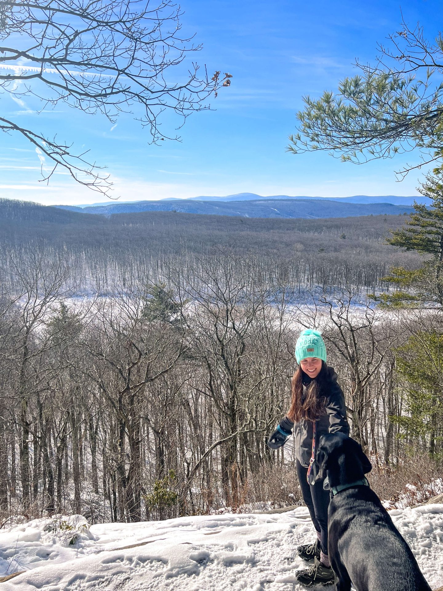 woman on a winter hike in the berkshires with snow and black dog on a blue sky day