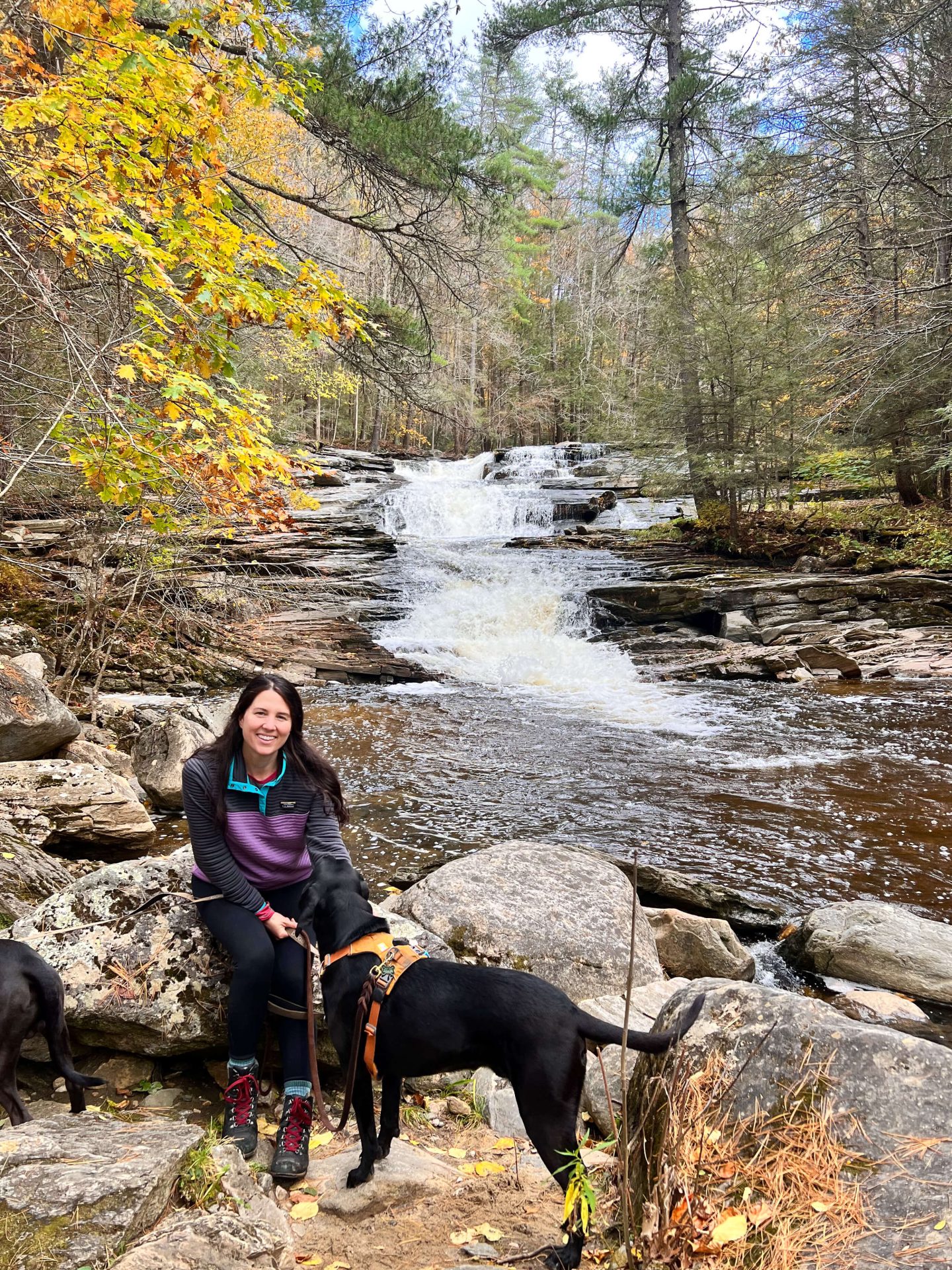 woman smiling in the fall at the best waterfall hike in the berkshires with black dog in photo