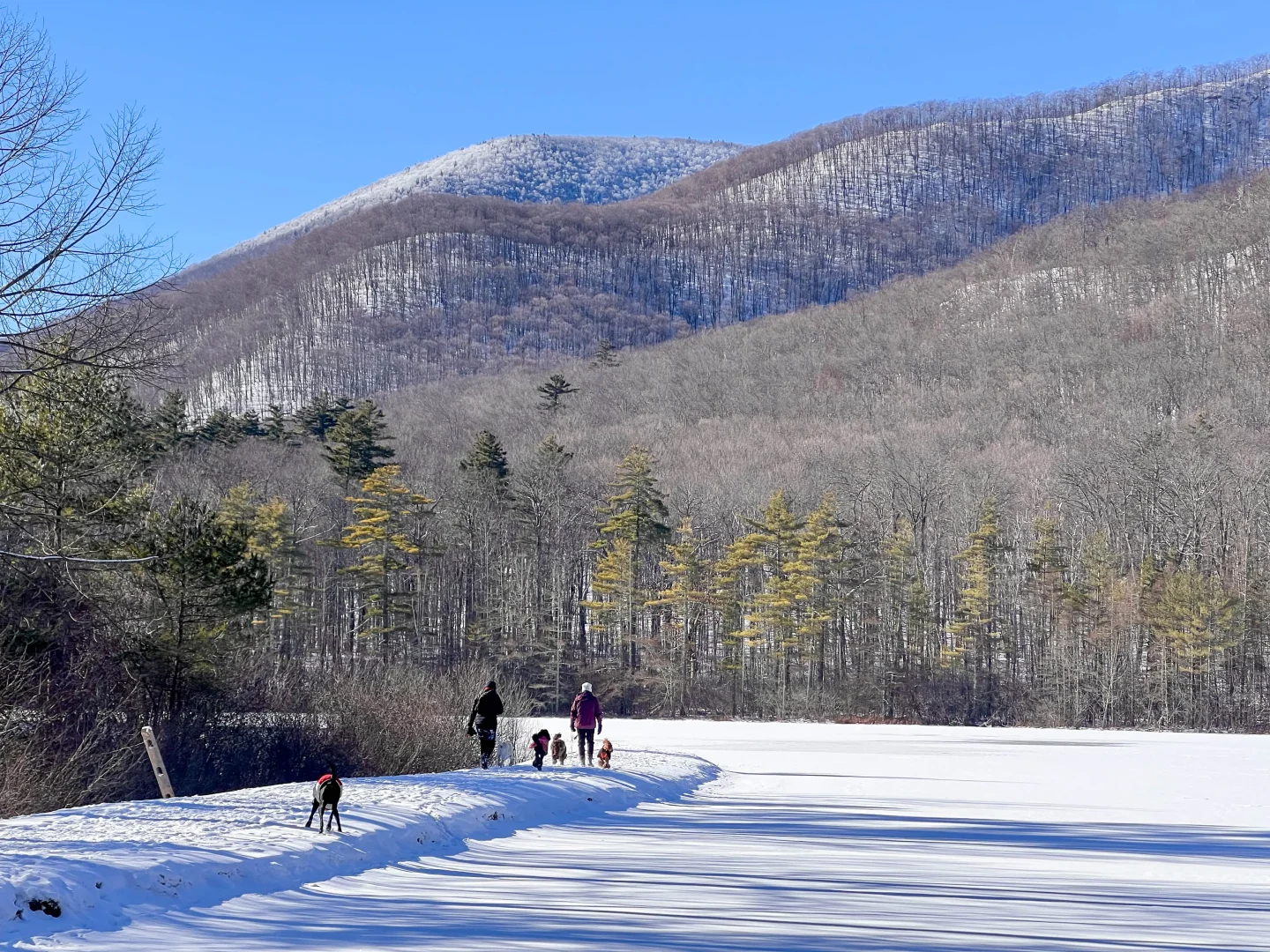 snowy hike with mountain in background in manchester vermont