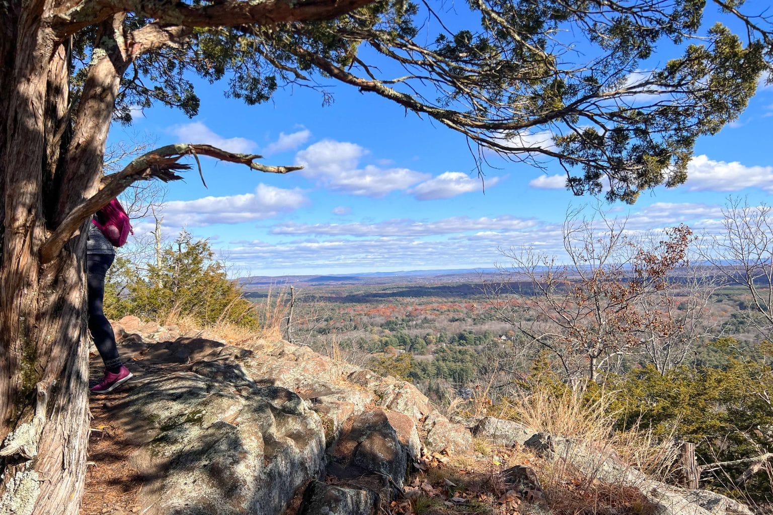 Hike Hedgehog Trail Up West Mountain, Simsbury CT (2 routes)