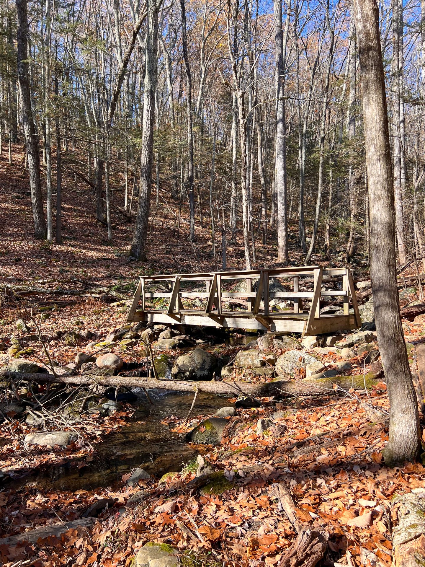 wooden bridge in late fall leading to hedgehog trail in west simsbury connecticut