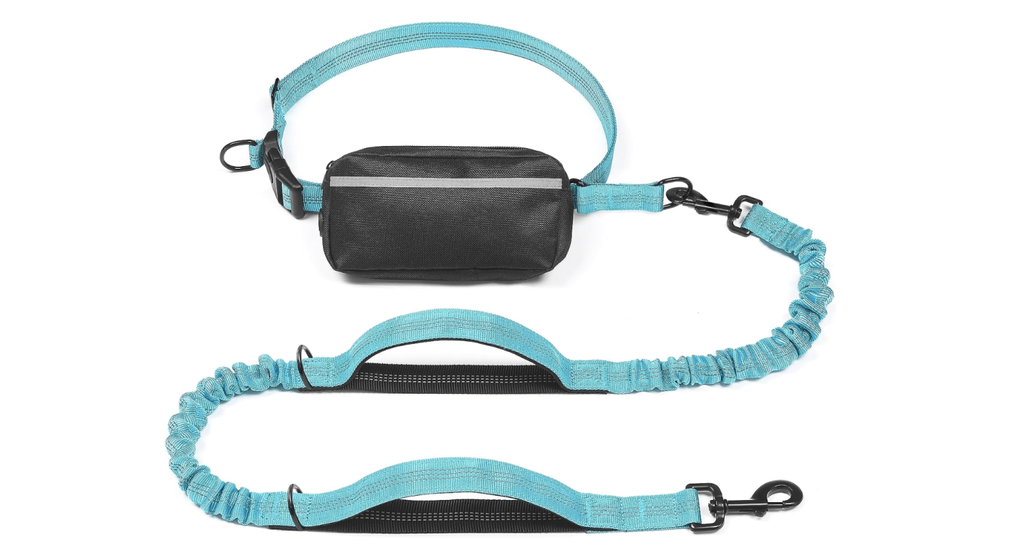 Top 3 Dog Leashes for Hiking and Which to Avoid