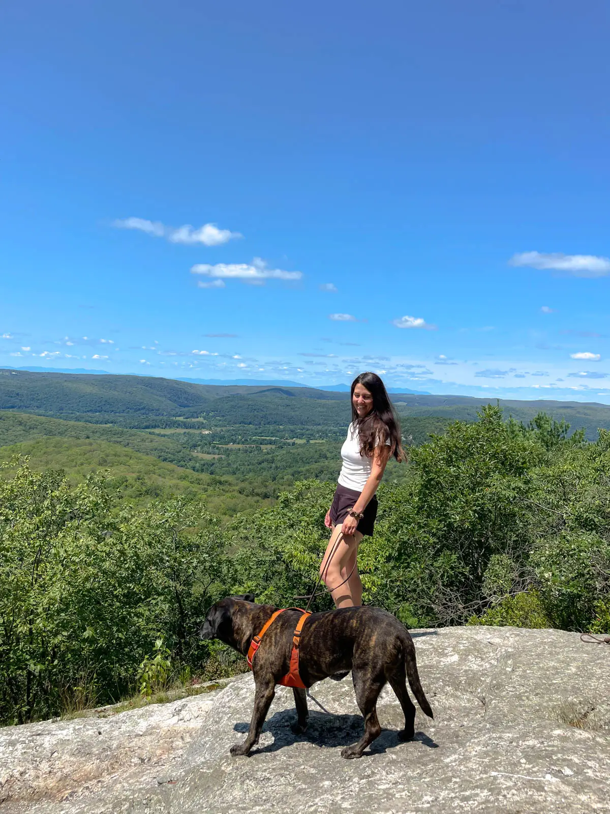 brunette woman in white shirt on mountaintop in summer with brown dog and green trees and rolling hills in background in the view and blue sky above.