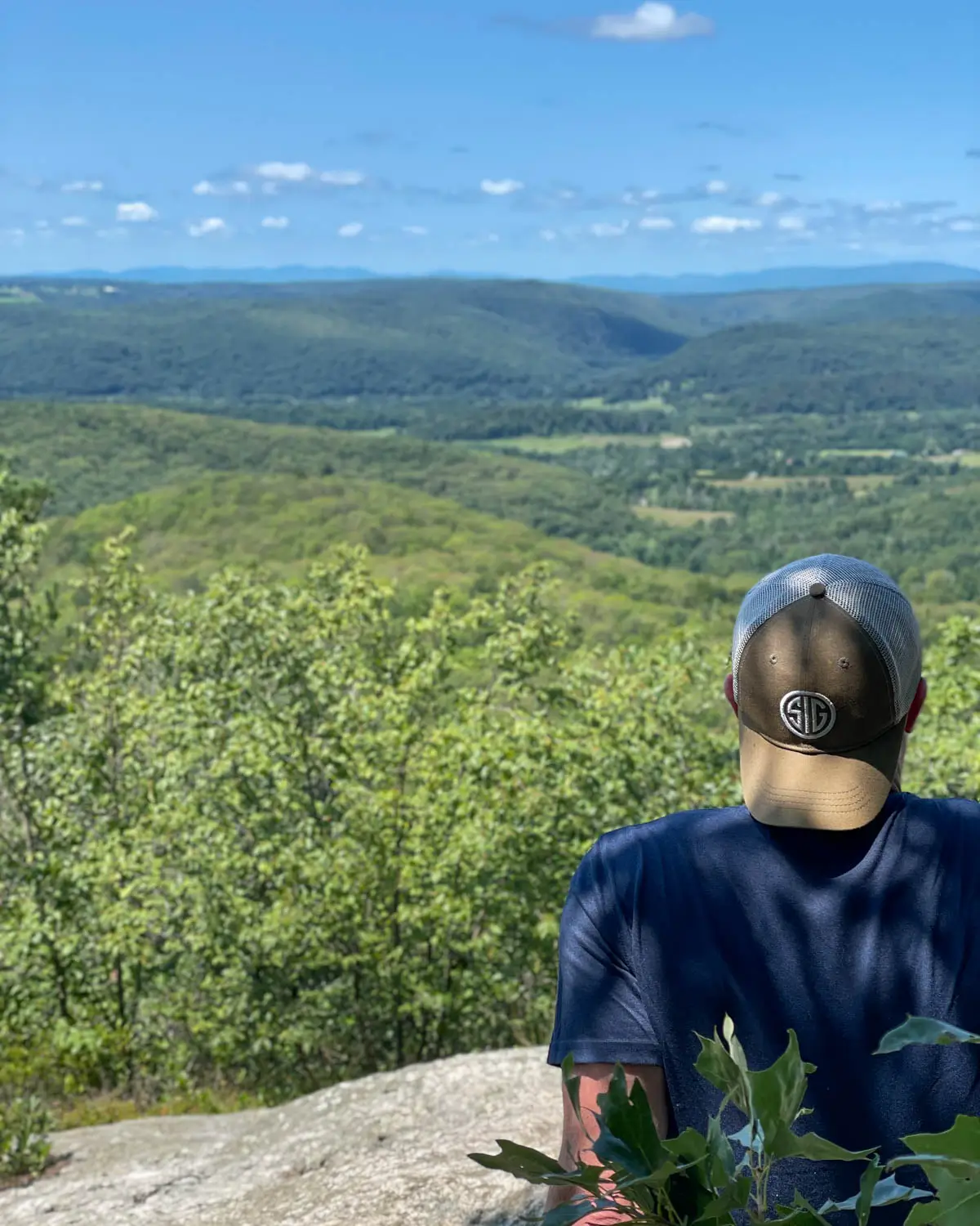 back of man in navy blue t-shirt sitting atop a mountaintop in summer with brown dog and green trees and rolling hills in background in the view and blue sky above.