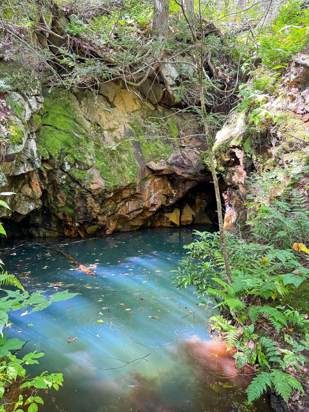 bright blue green water at an old nickel mine in litchfield, connecticut on a summer day surrounded by green ferns.