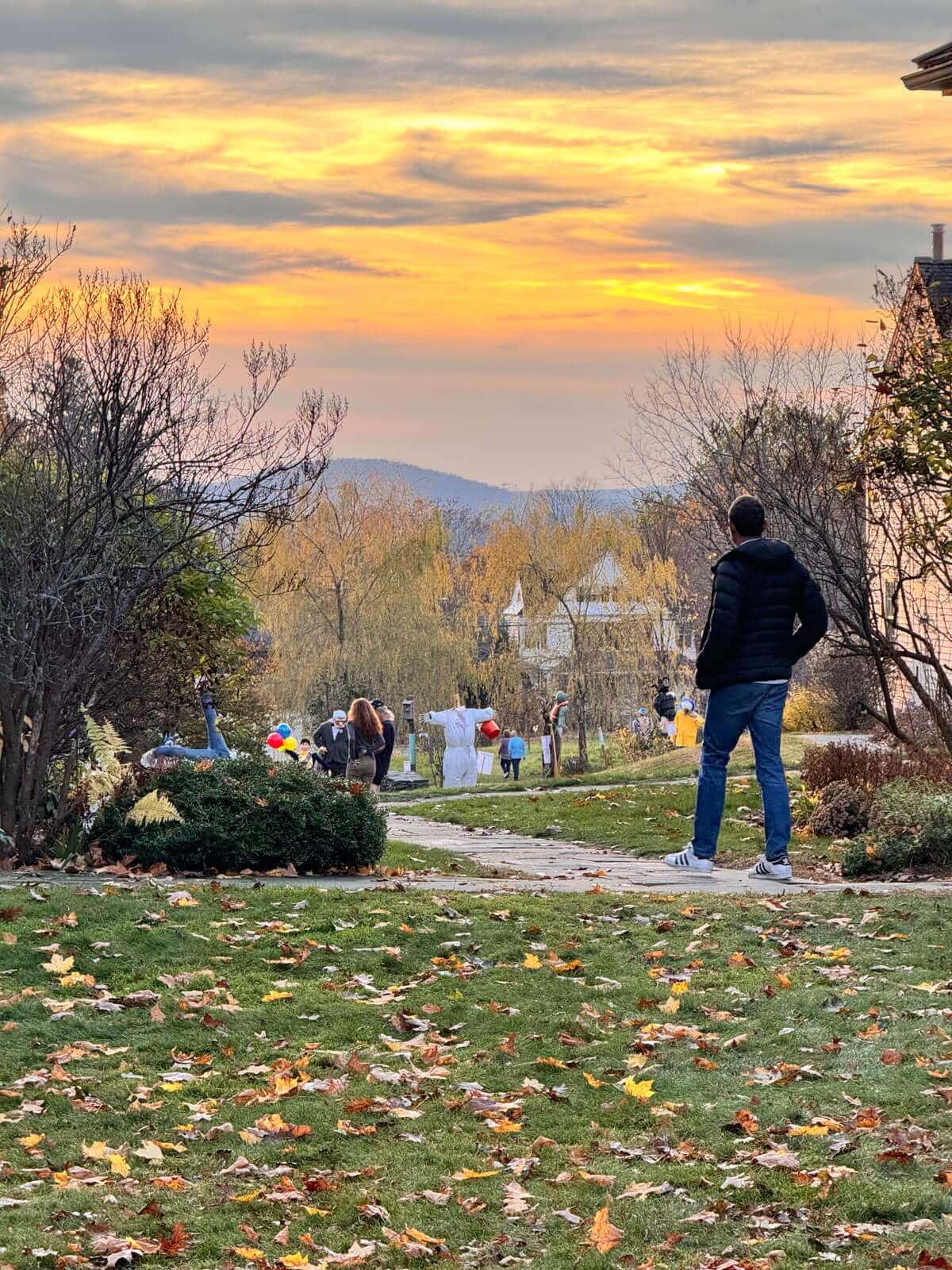 scarecrows in a wide open meadow at sunset time in litchfield with a golden sky, green grass, and different scarecrows popped up in the field.