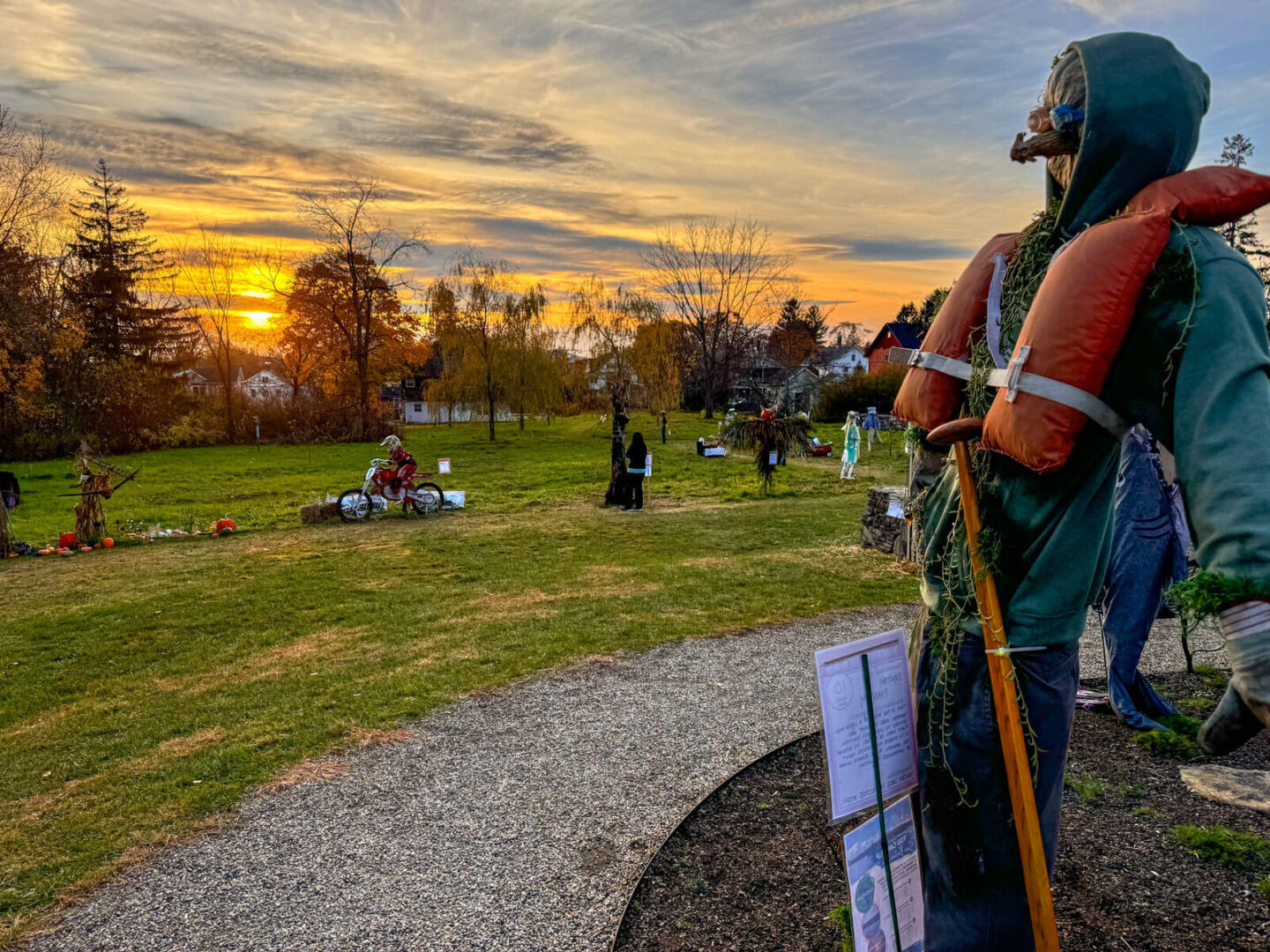 scarecrows in a wide open meadow at sunset time in litchfield with a golden sky, green grass, and different scarecrows popped up in the field.