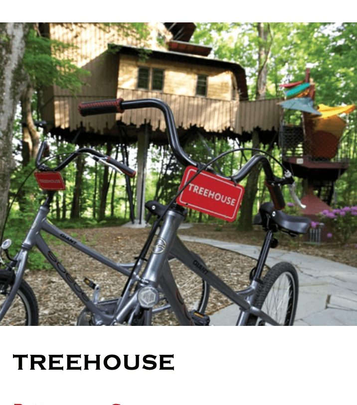 treehouse room at winvian farm