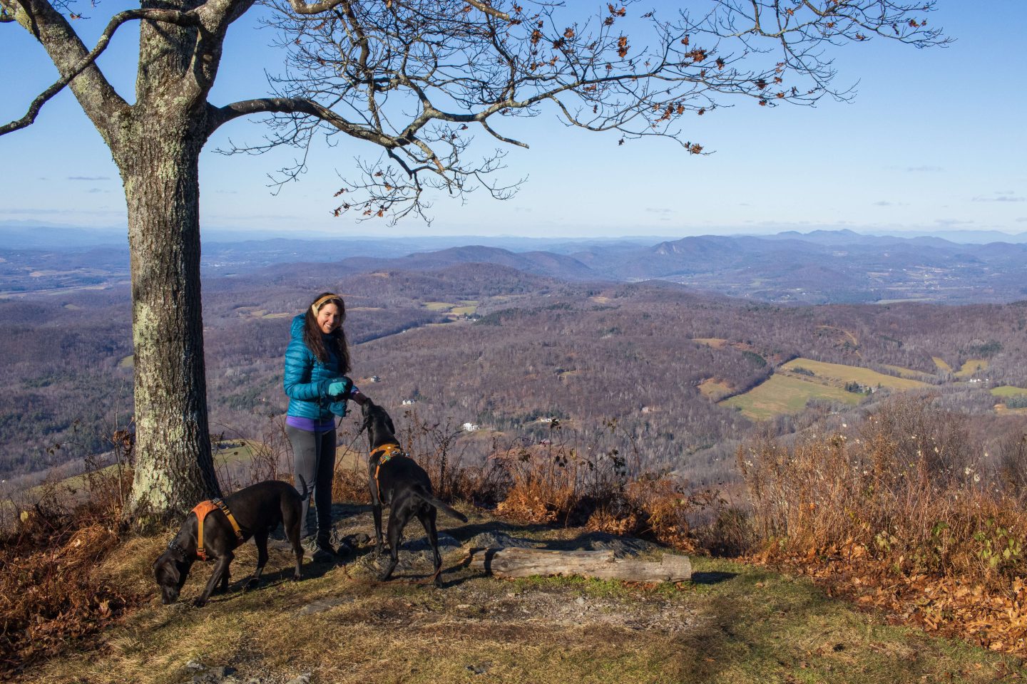 woman in blue jacket and two dogs on hike at merck forest in vermont