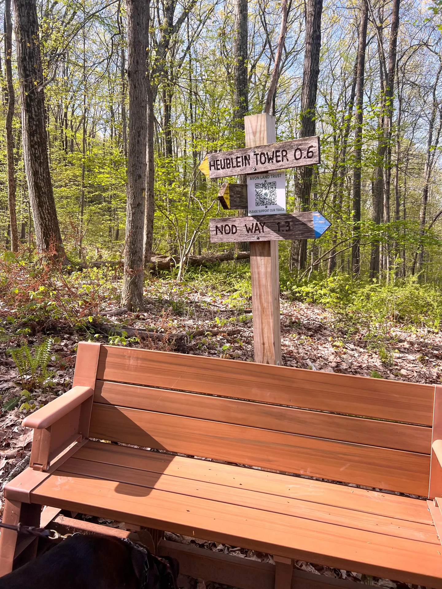 a wooden bench on a trail with wooden trail signs above it