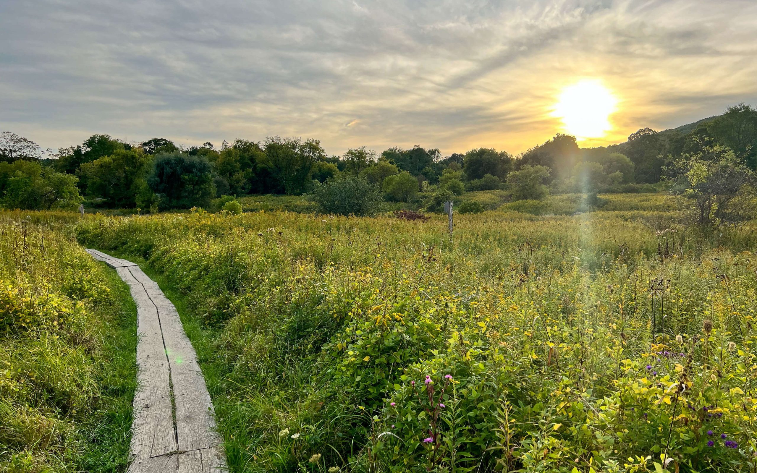 hike near kent connecticut in summer with green grass and sun shining