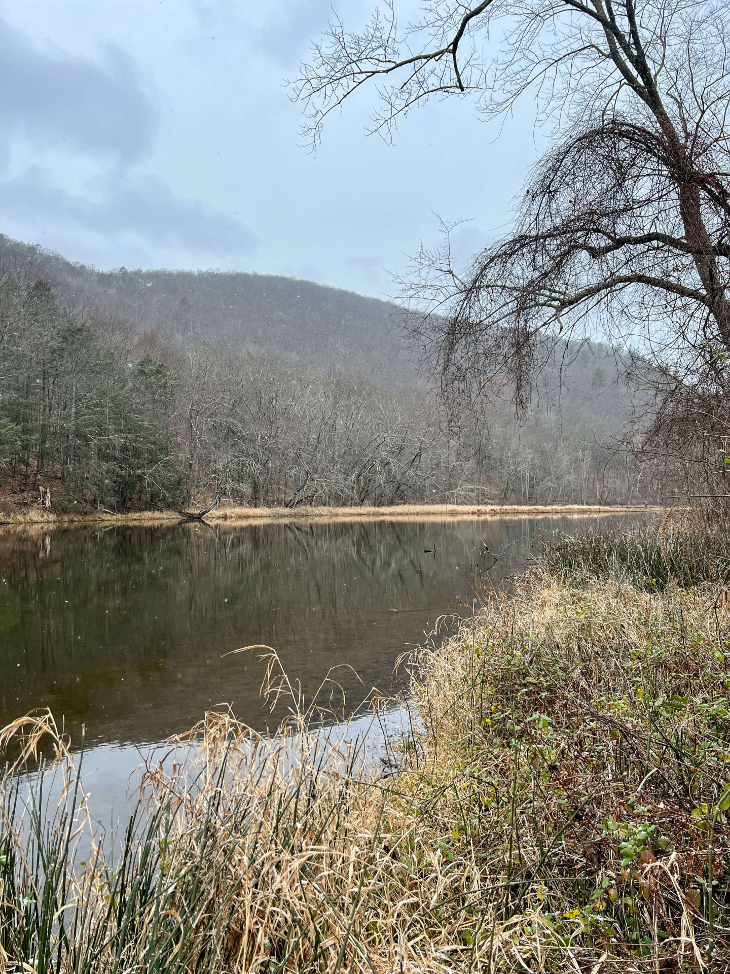 kent land trust in winter with view of housatonic river