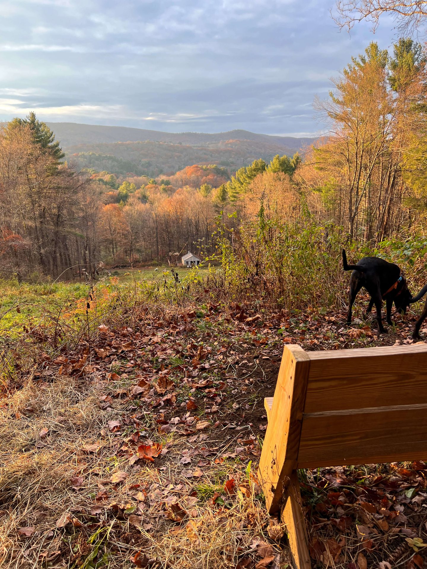 salisbury pope preserve land trust connecticut at sunset