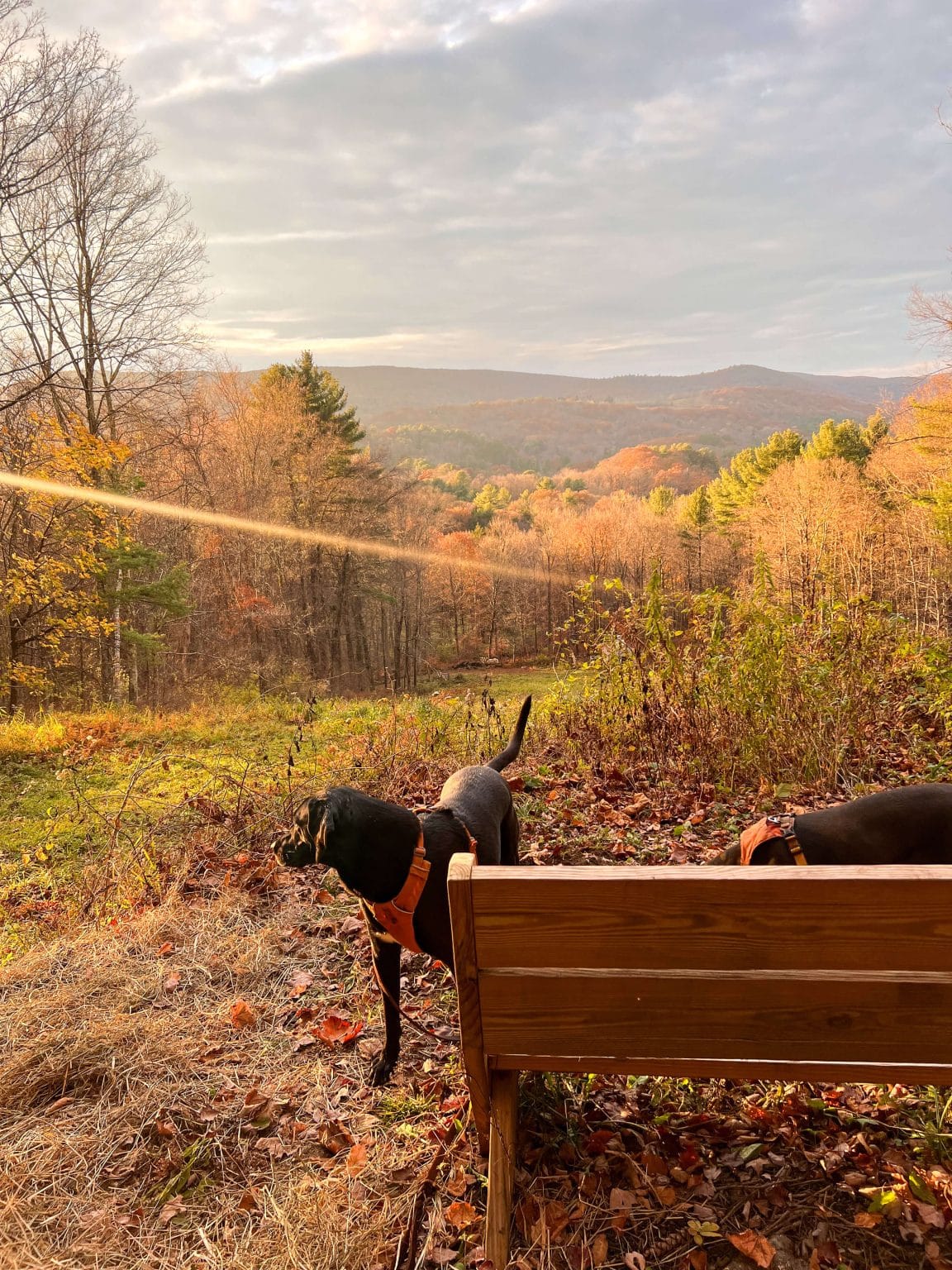 16 MustSee Connecticut Land Trusts; Take a Scenic Walk!