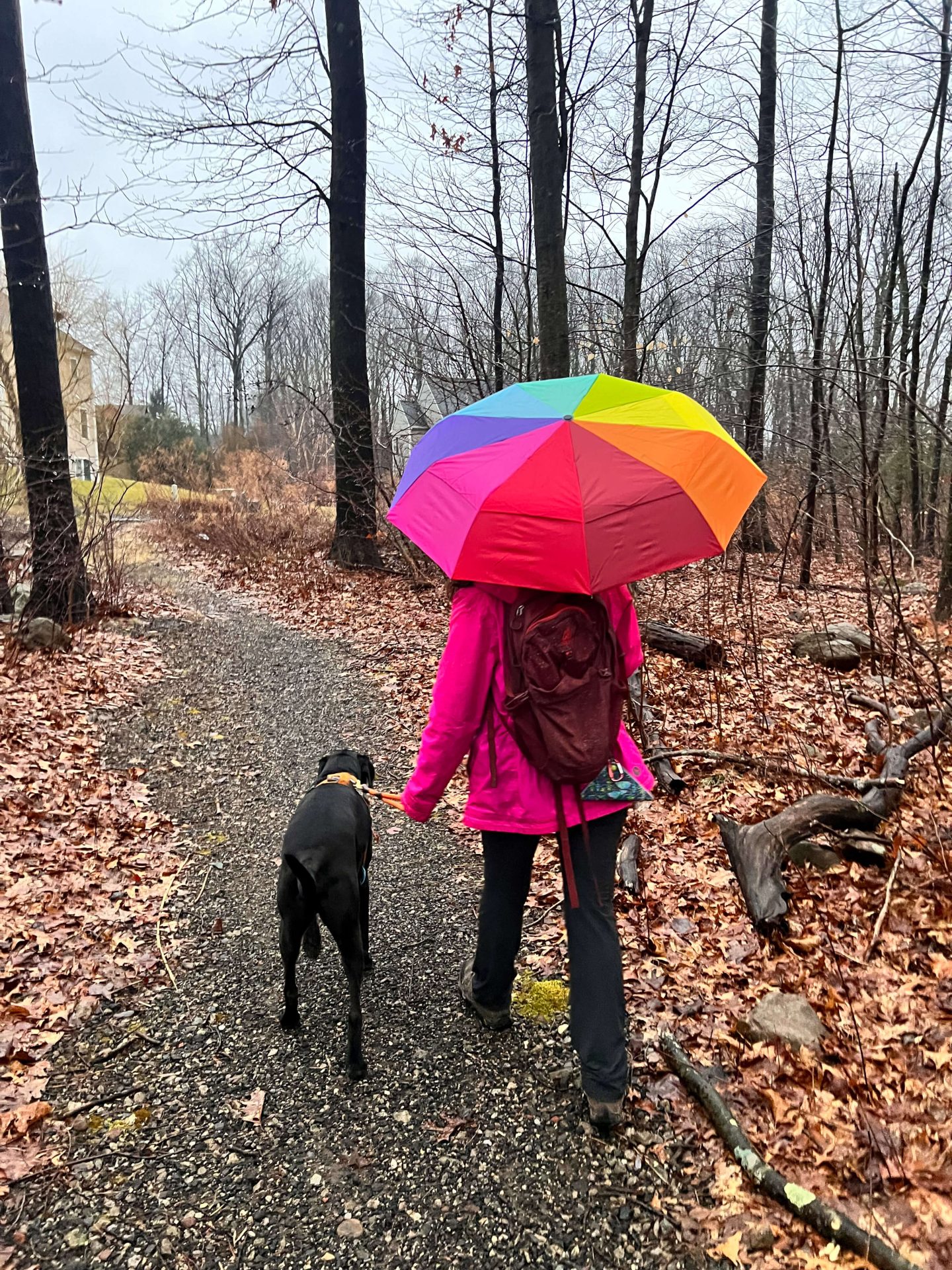 Best 2024 walking umbrella