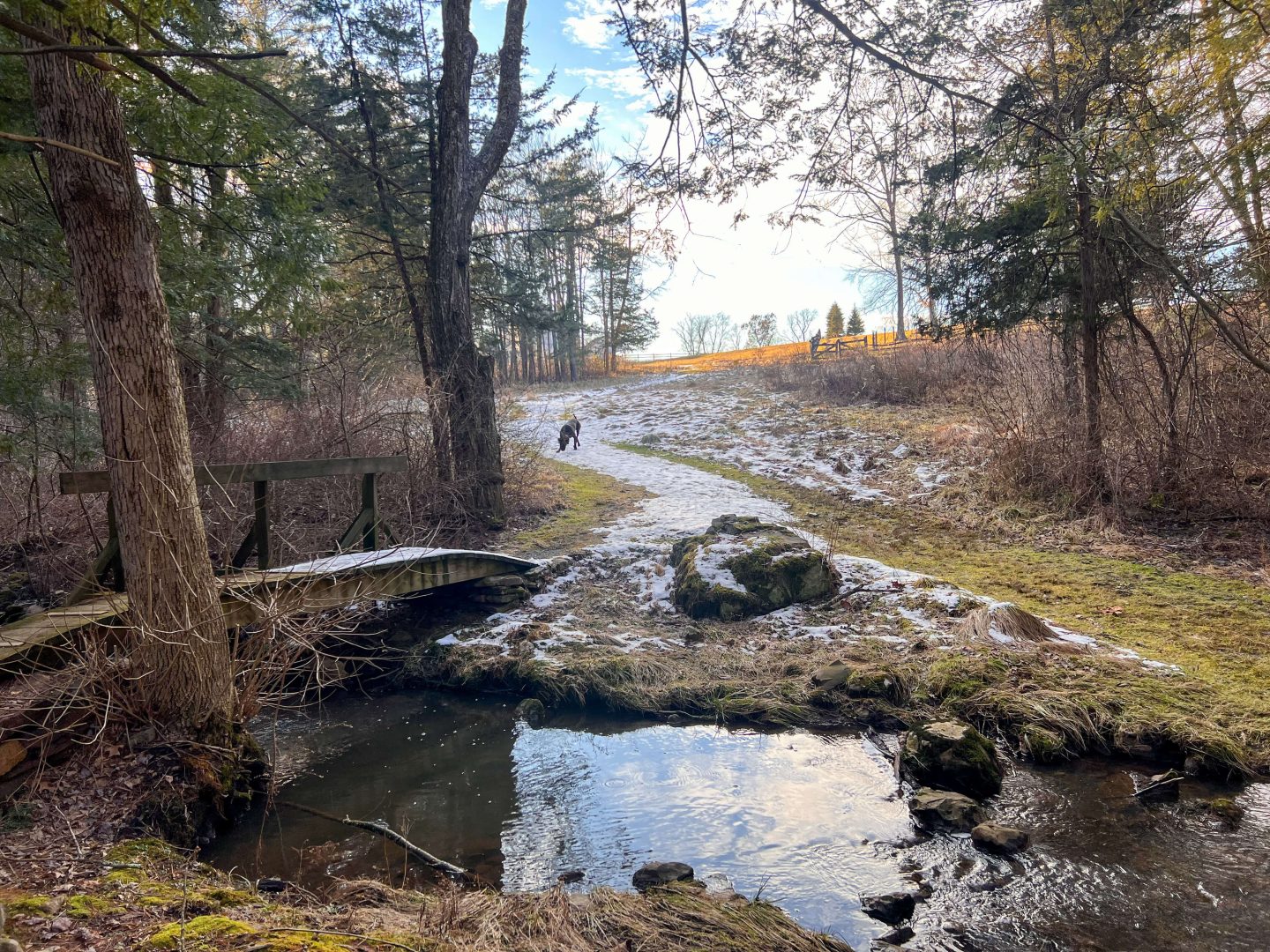 simsbury land trust connecticut