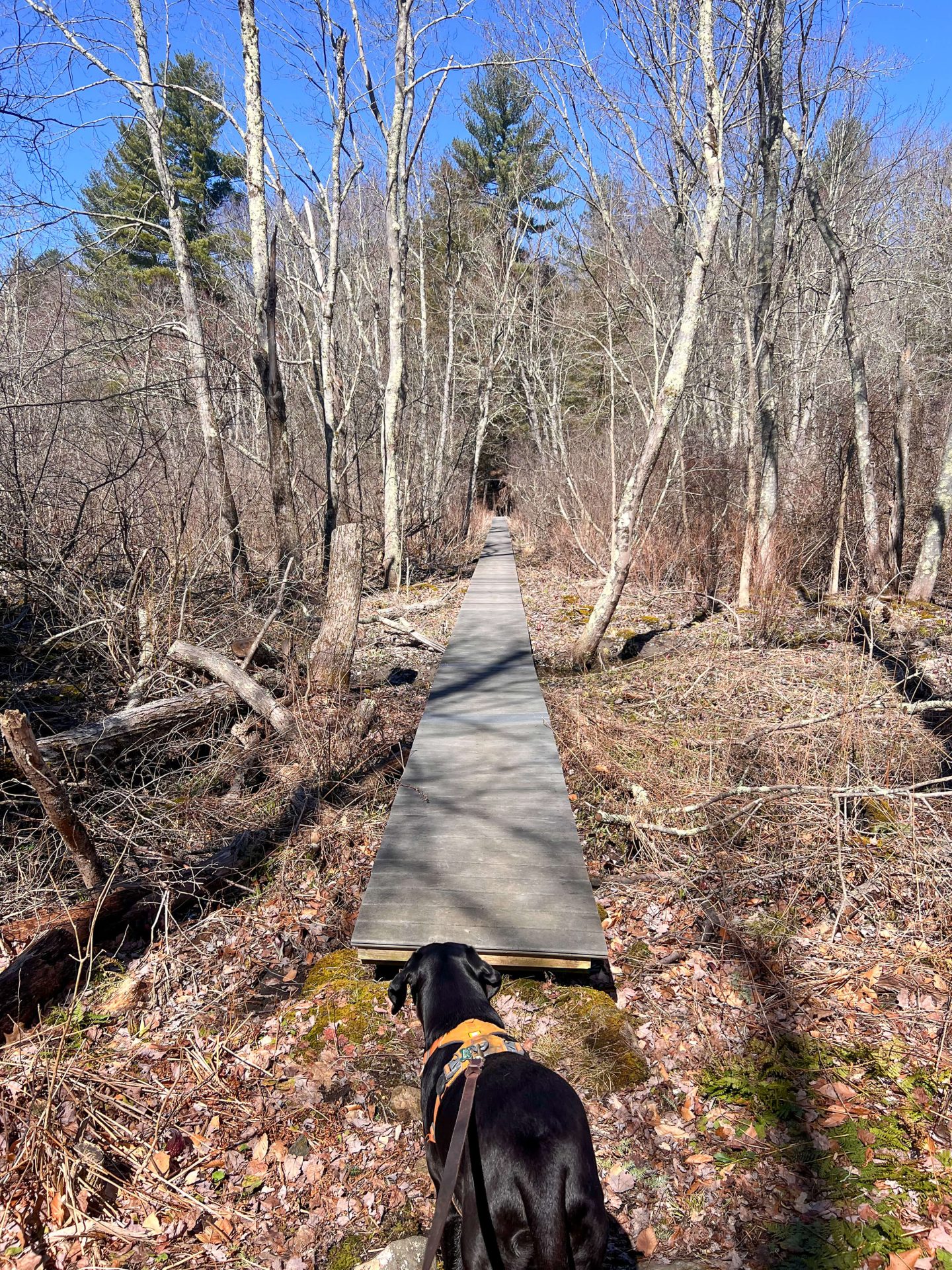 goshen land trust ct in winter