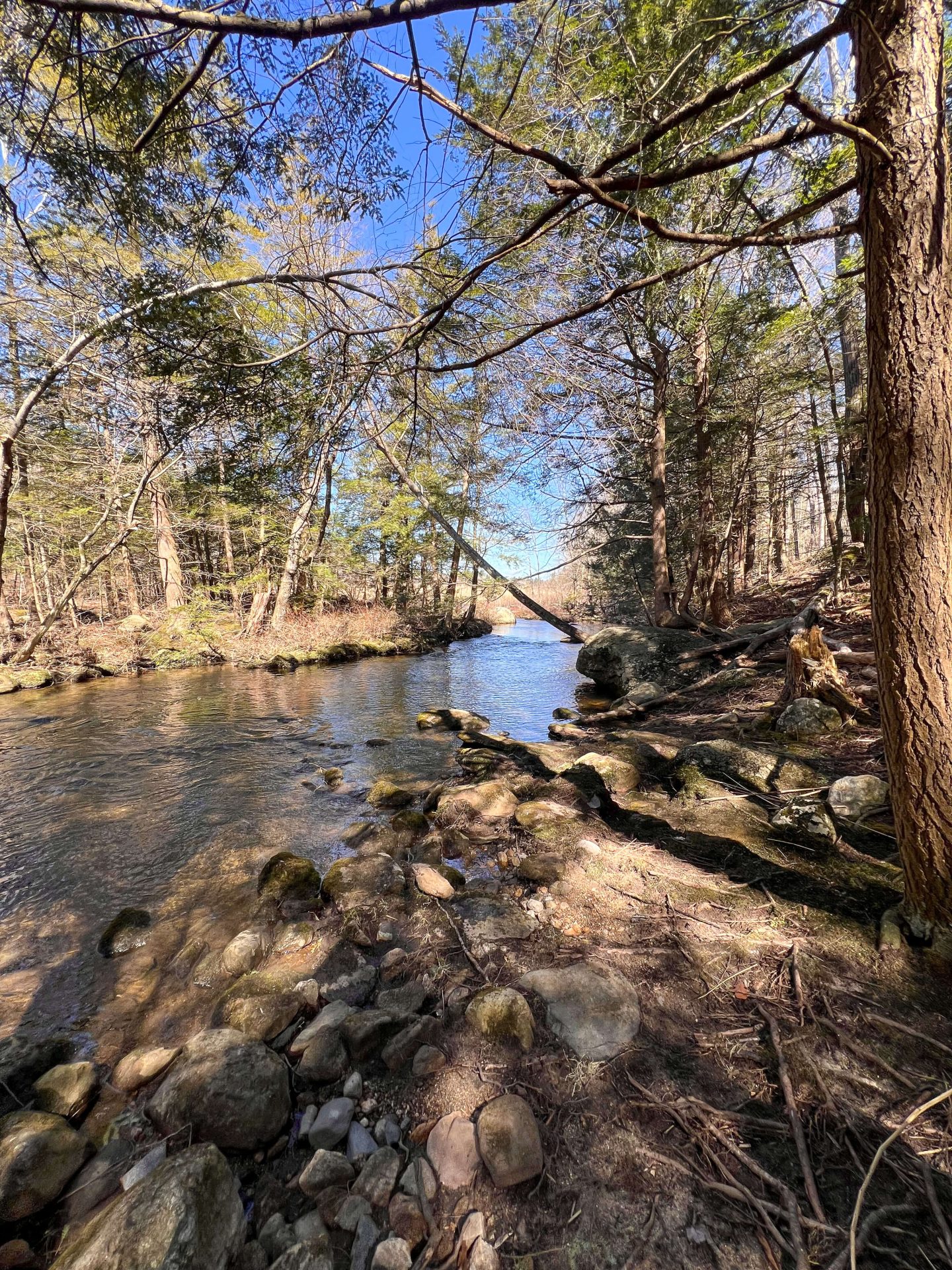 goshen land trust ct in winter