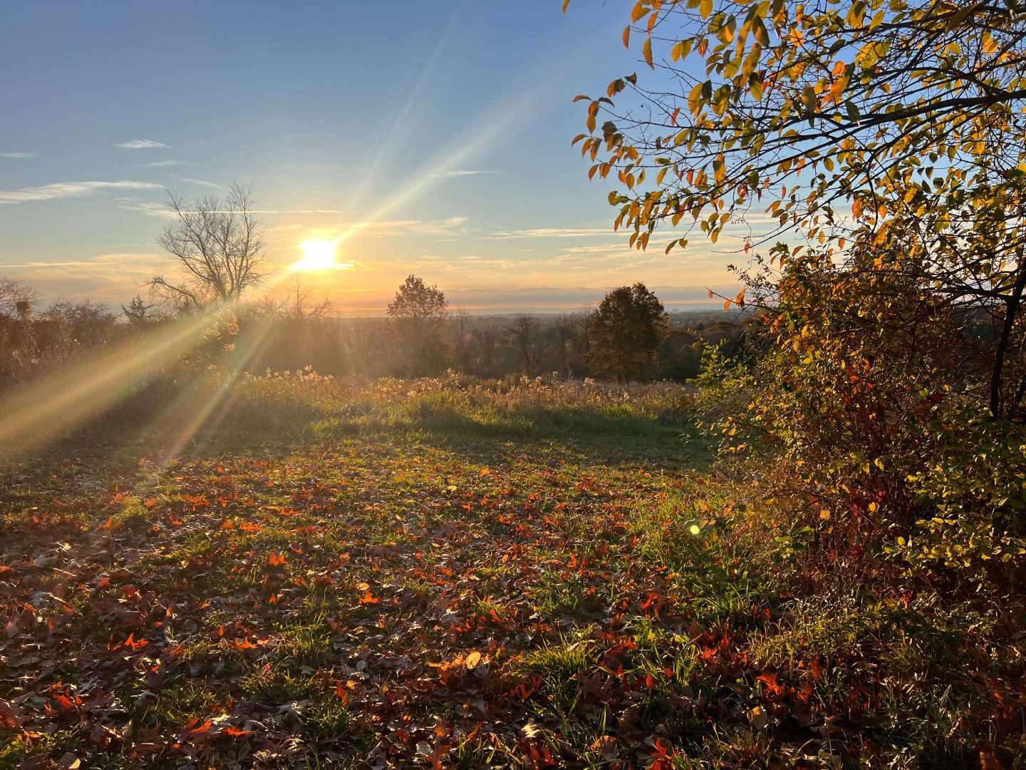 Wintonbury Land Trust in Connecticut at sunrise