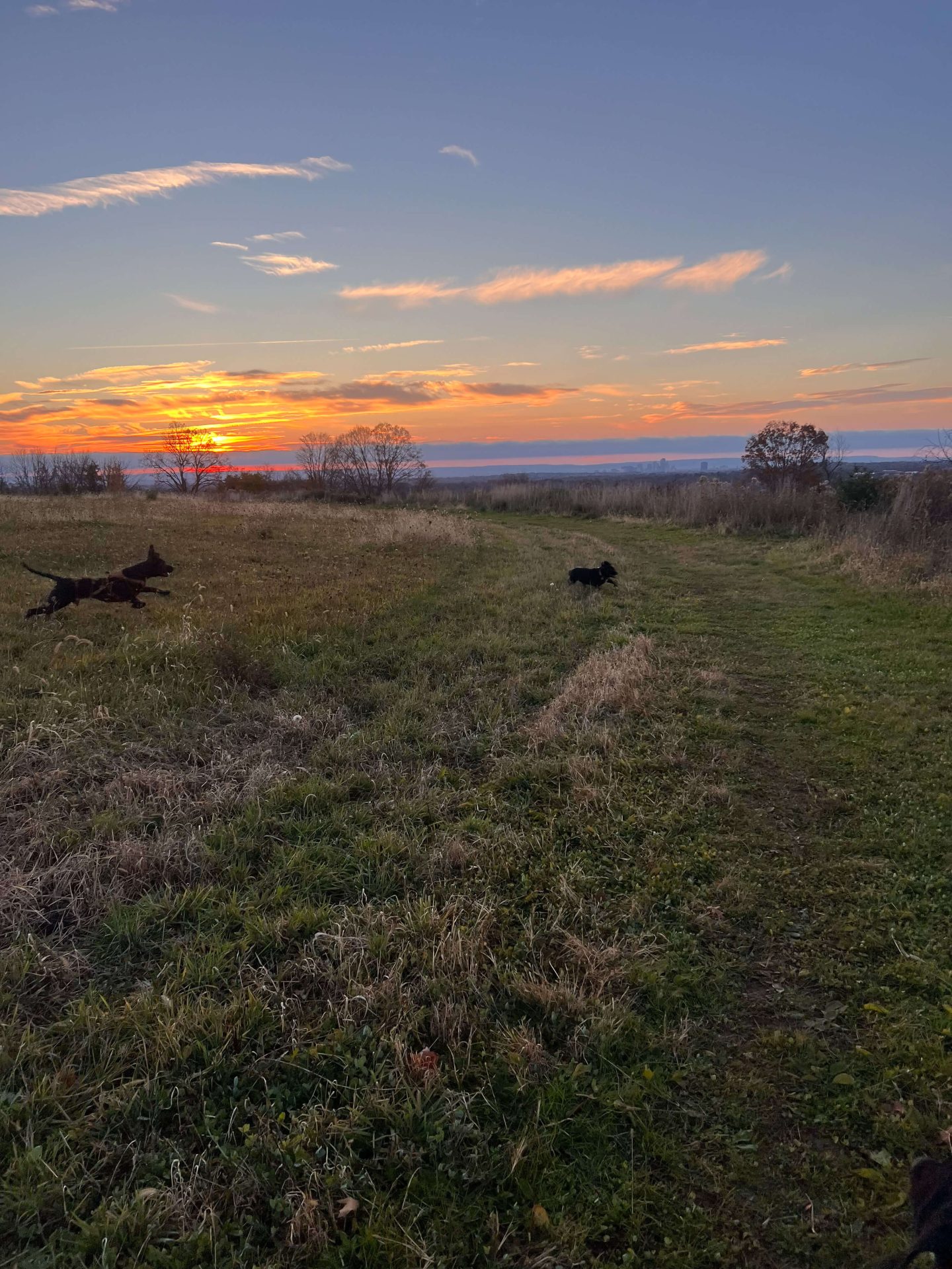 Wintonberry Land Trust in Connecticut at sunrise