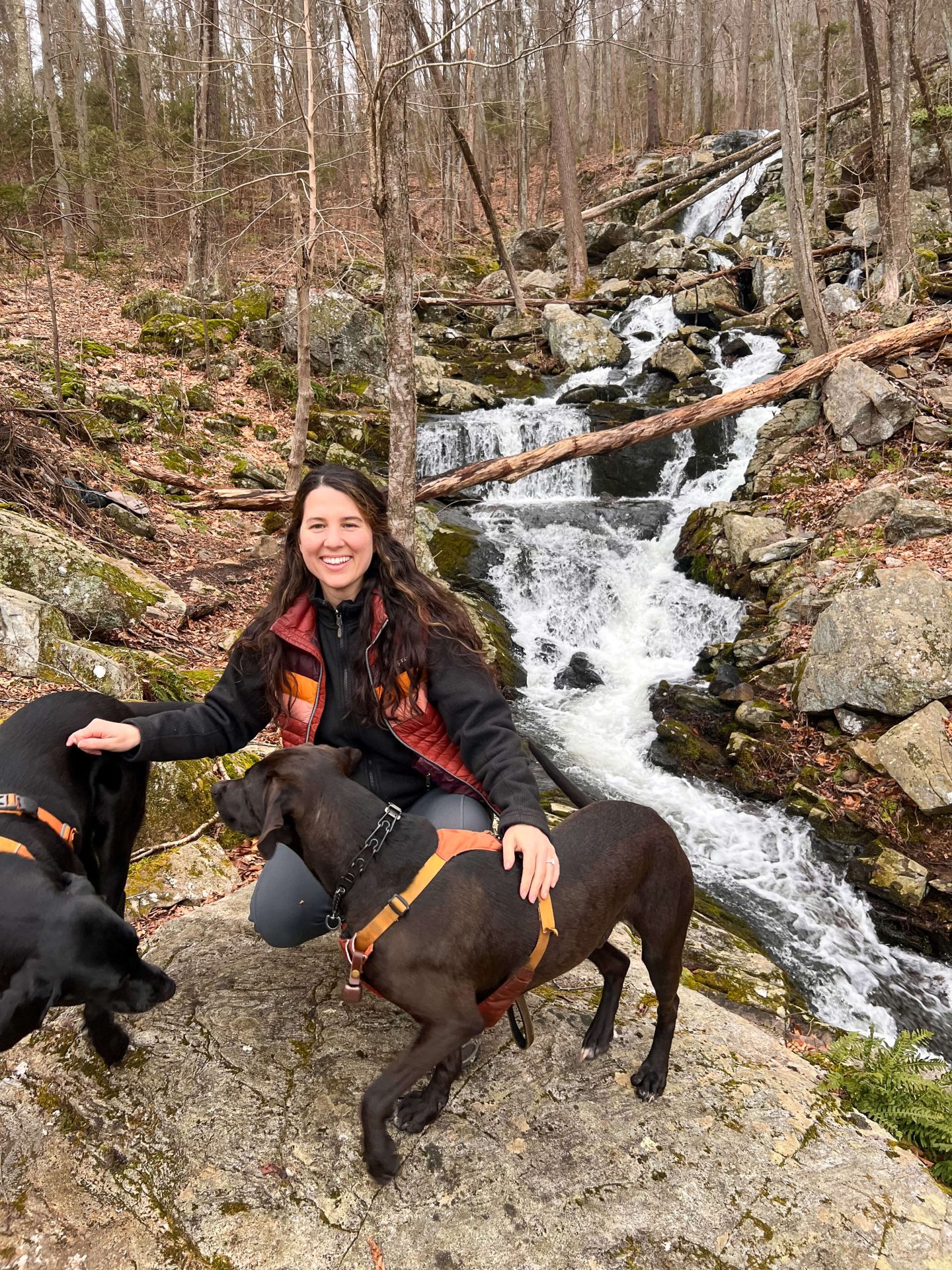 woman and 2 dogs on zoar trail in connecticut along the river