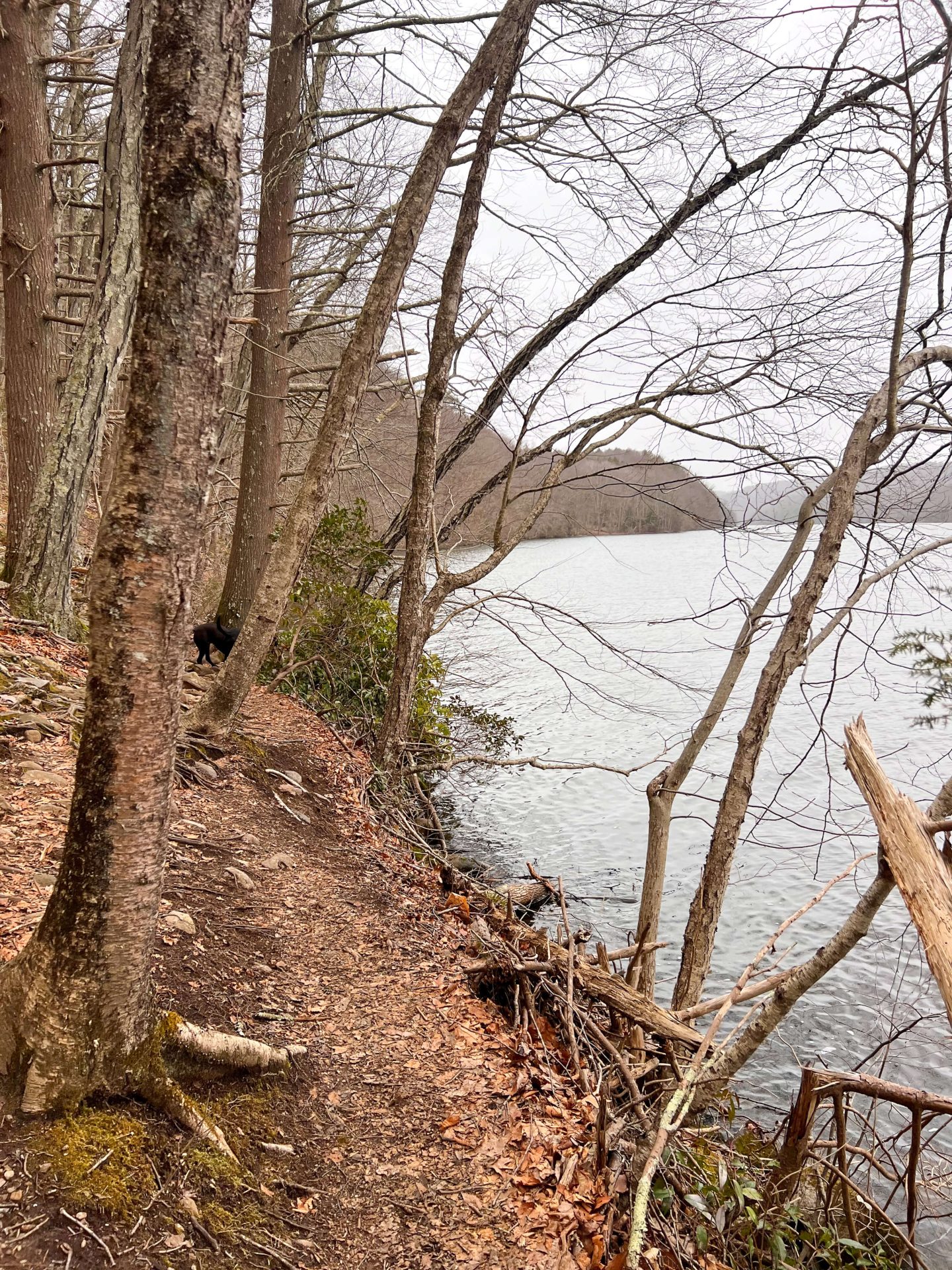 zoar trail along housatonic river in connecticut