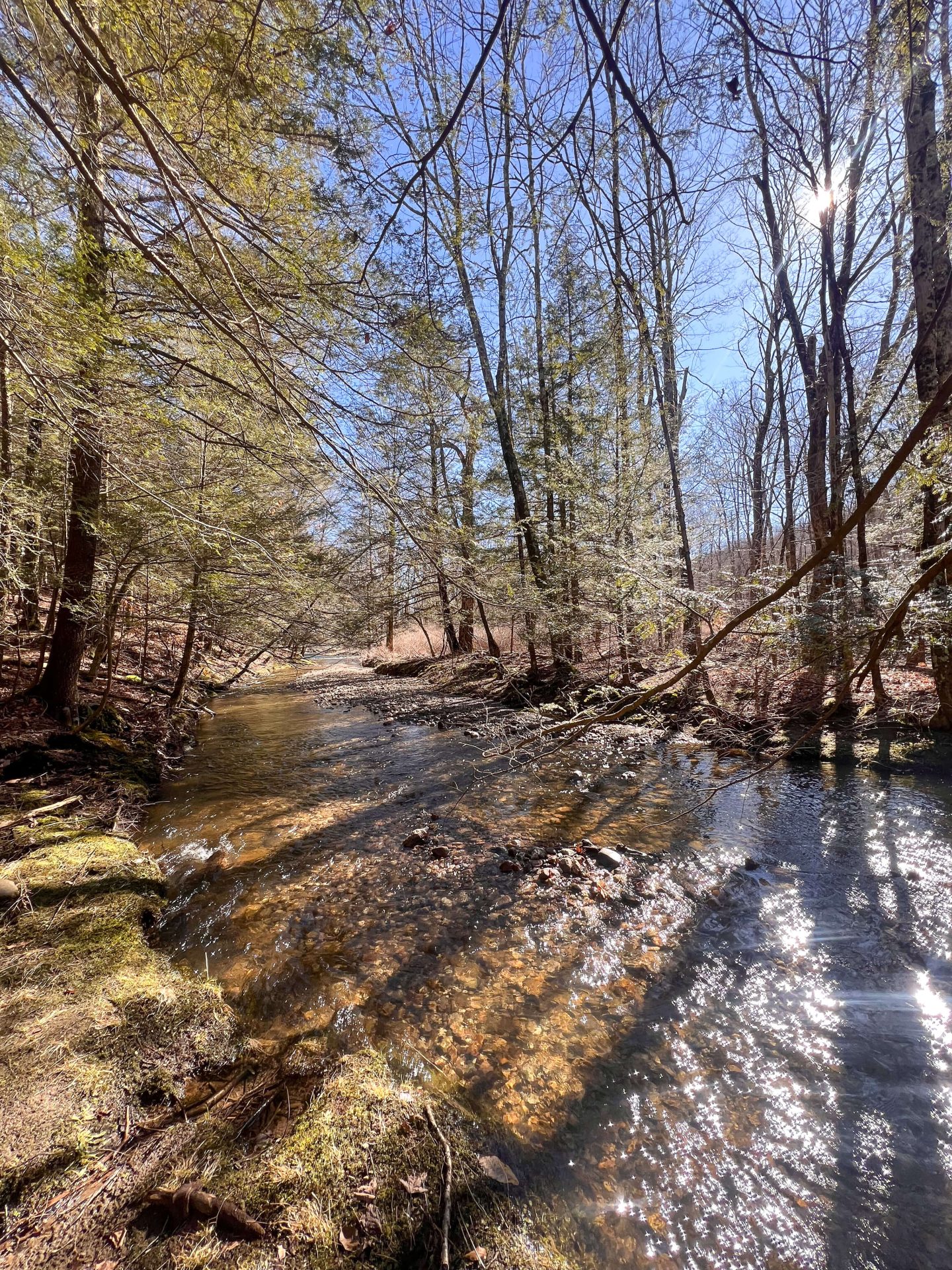 bantam river preserve in litchfield ct