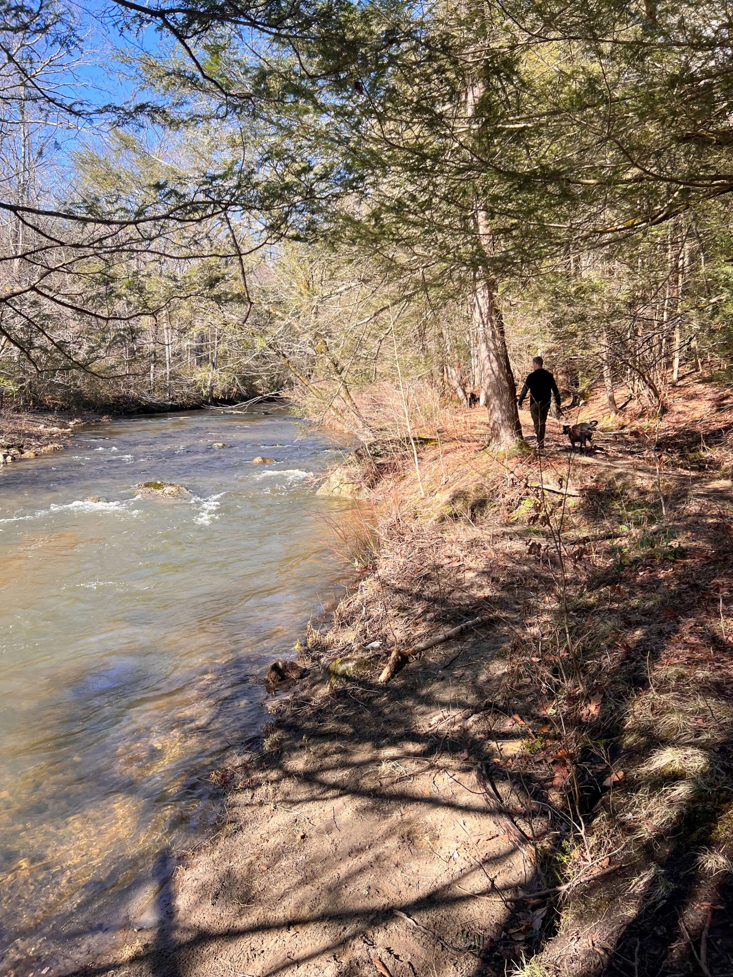 man and black beautiful dog hiking at medicine rock loop trail in litchfield connecticut