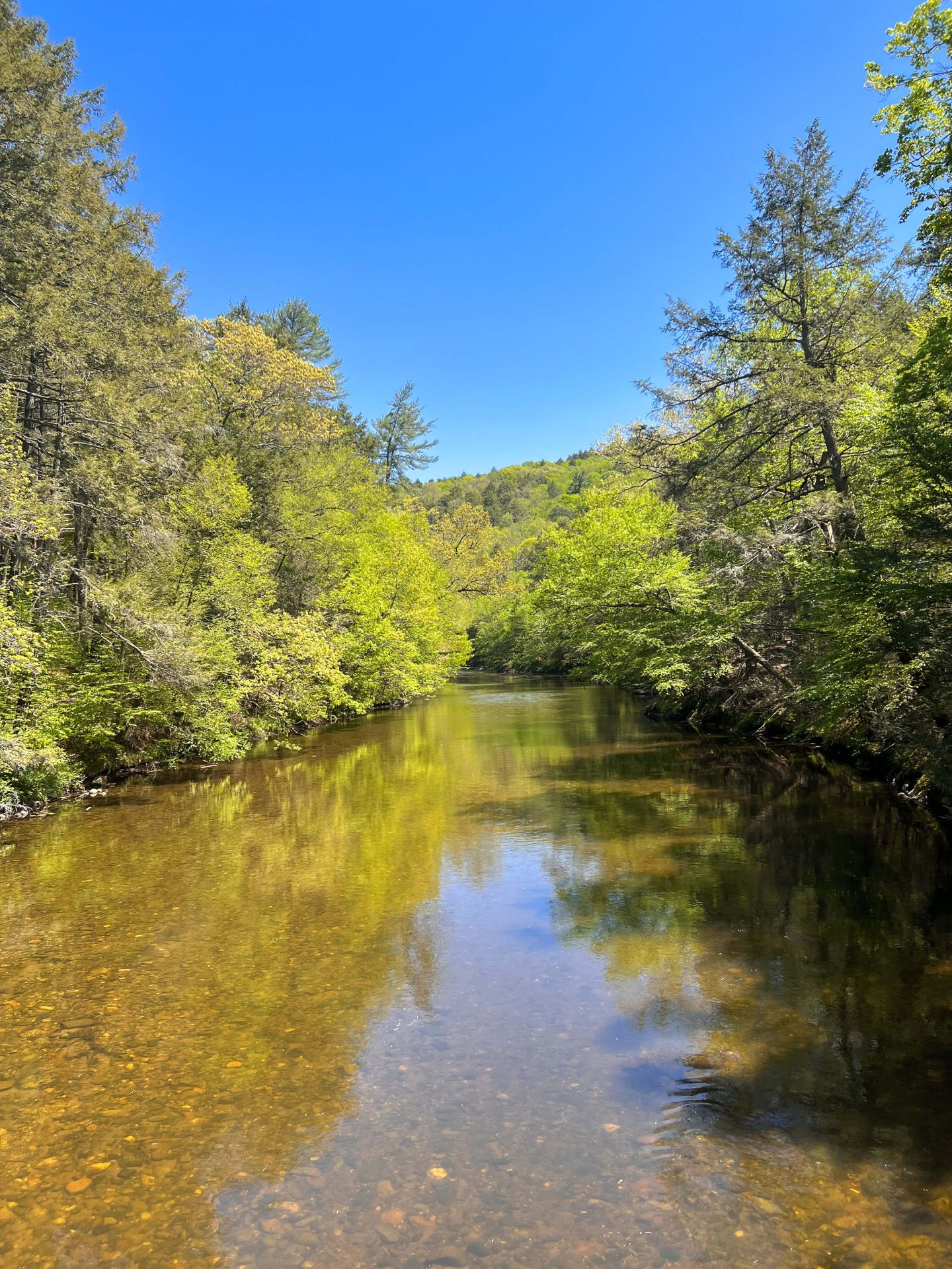 walk along shepaug river in steep rock preserve connecticut