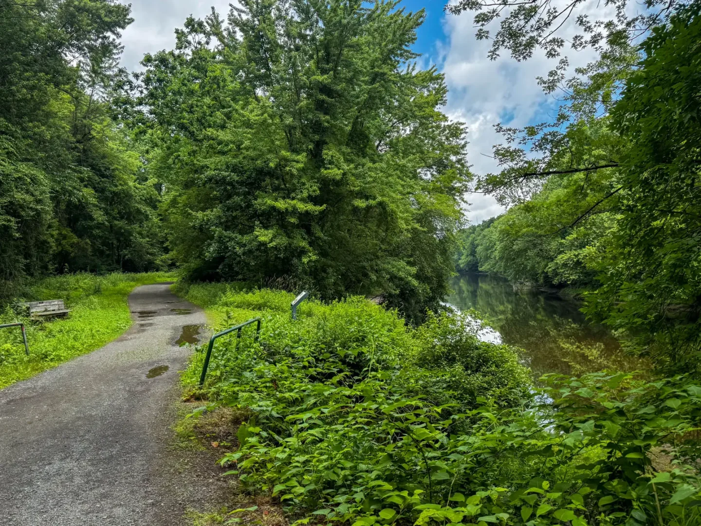 a wide path on a summer day with a river alongside it and green trees lining the path.