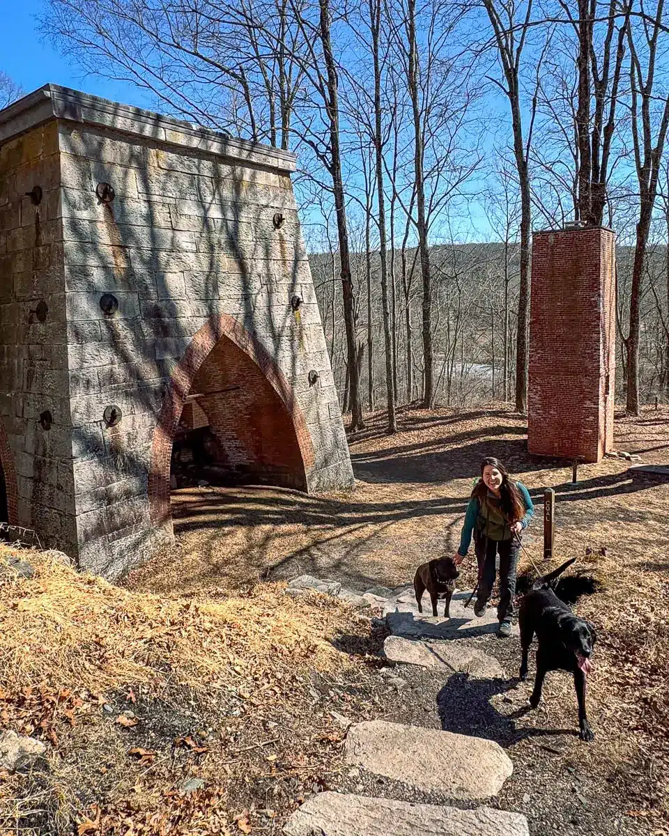woman smiling walking up stone steps of a trail with two big black and brown dogs and a big stone mine behind her on the left and blue sky and mountains in distance in early spring with no leaves on trees.