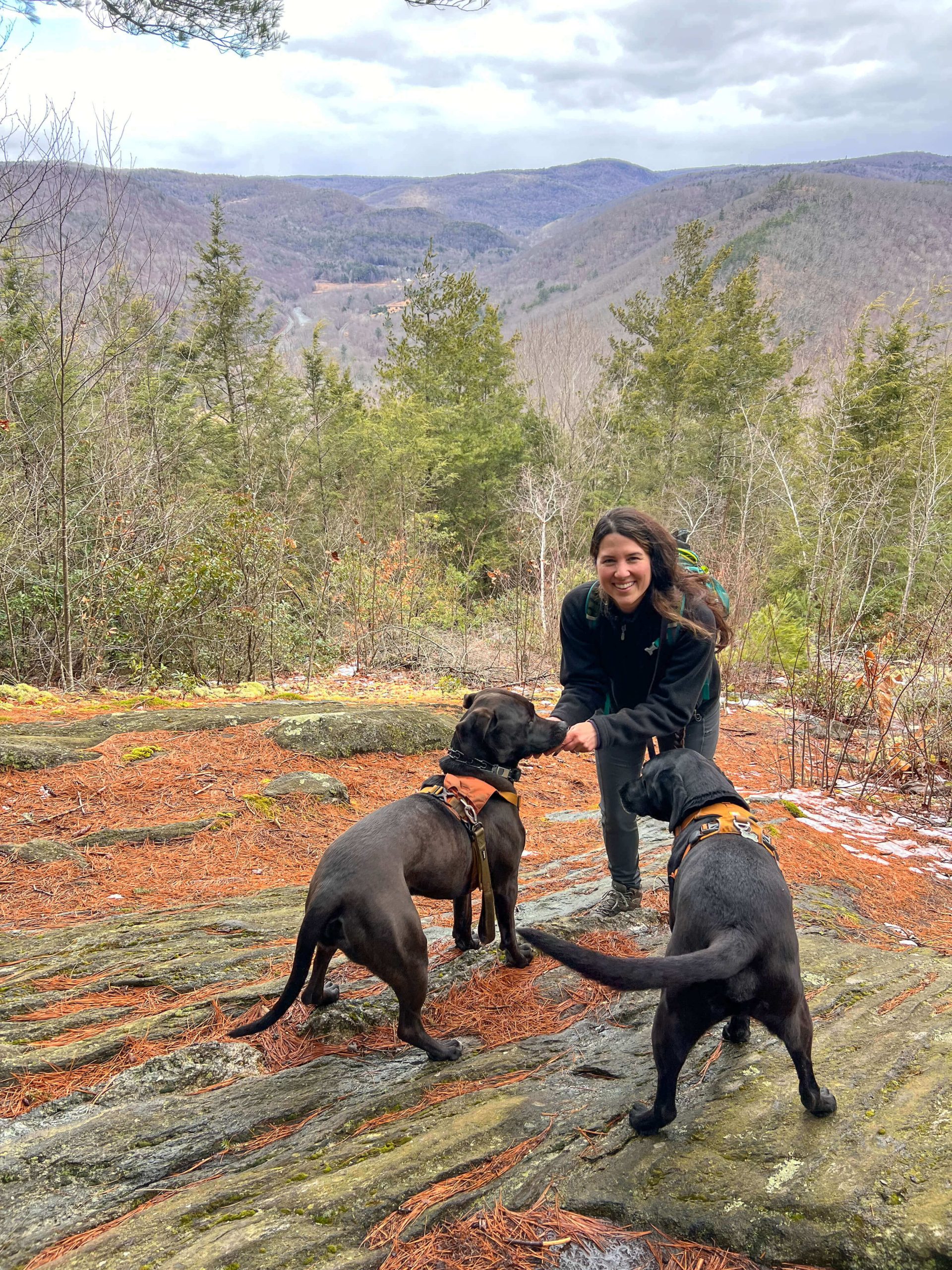 woman smiling with two dogs at sanderson brook falls hike view