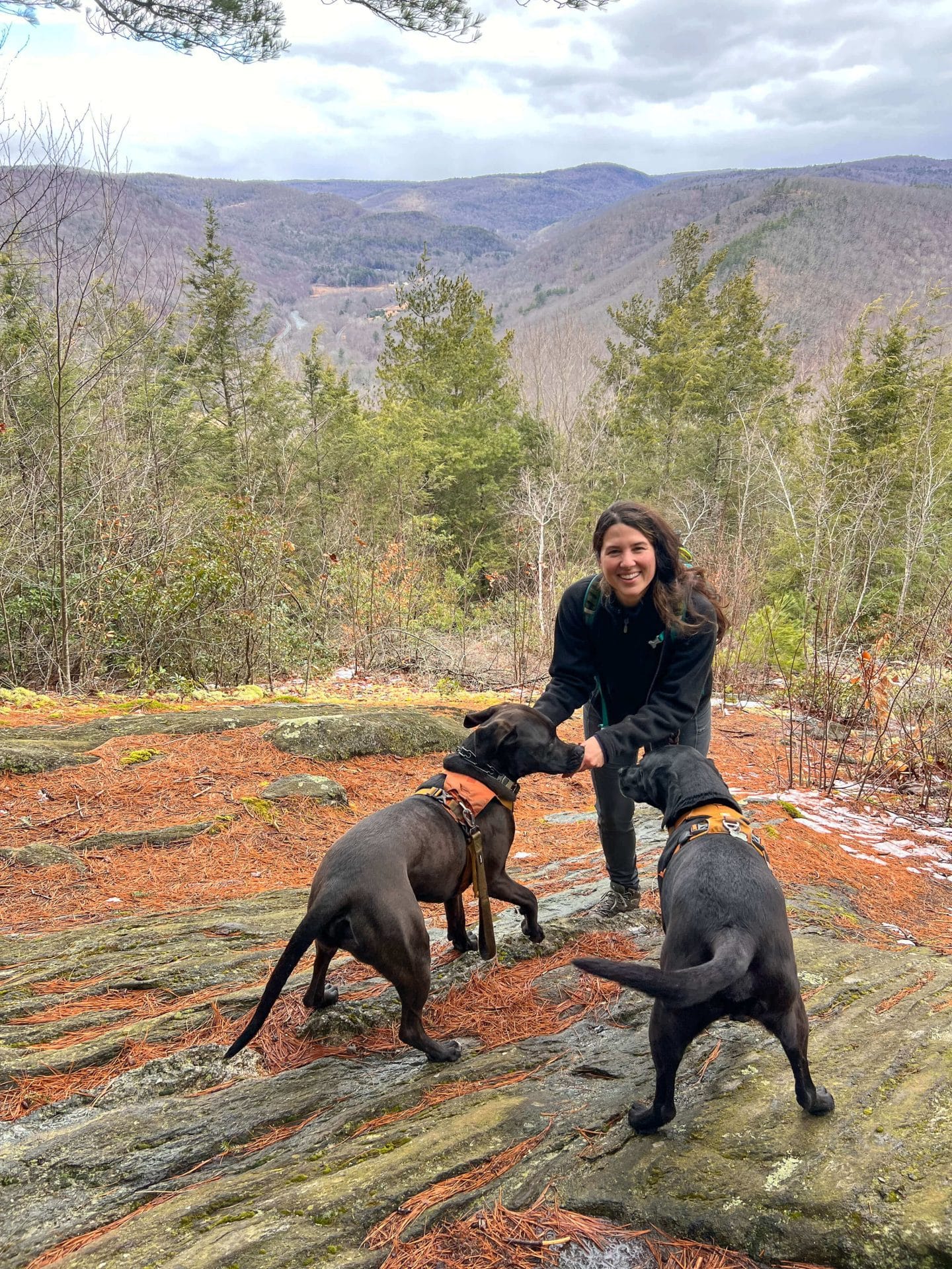 woman smiling at the view at sanderson brook falls hike