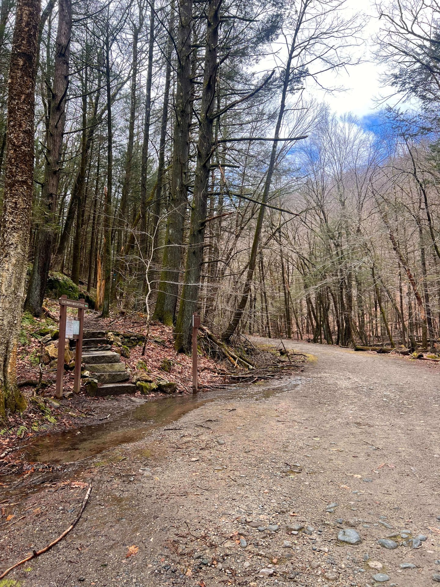 on the trail to sanderson falls brook loop