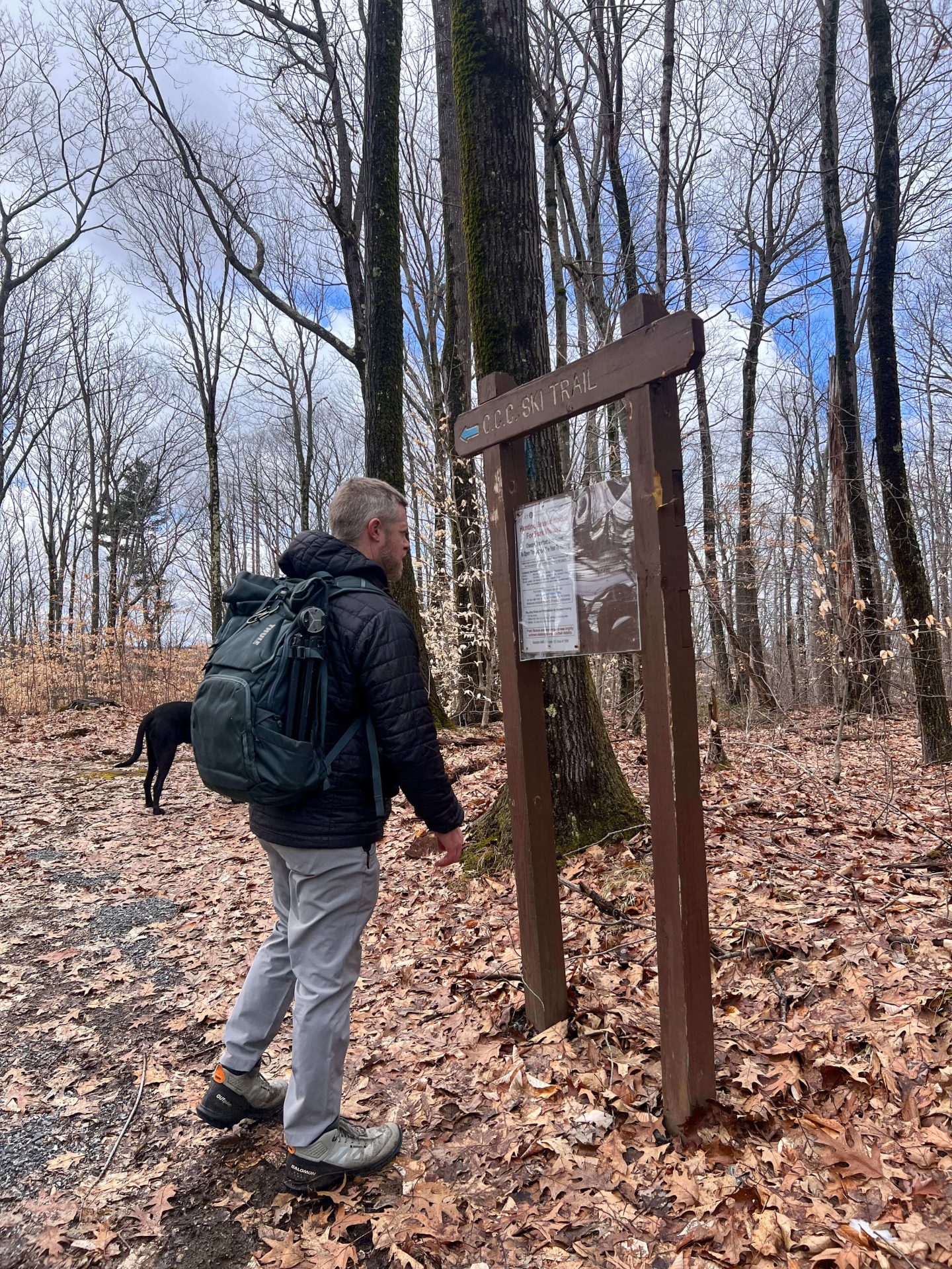 hiking in chester-blandford state forest