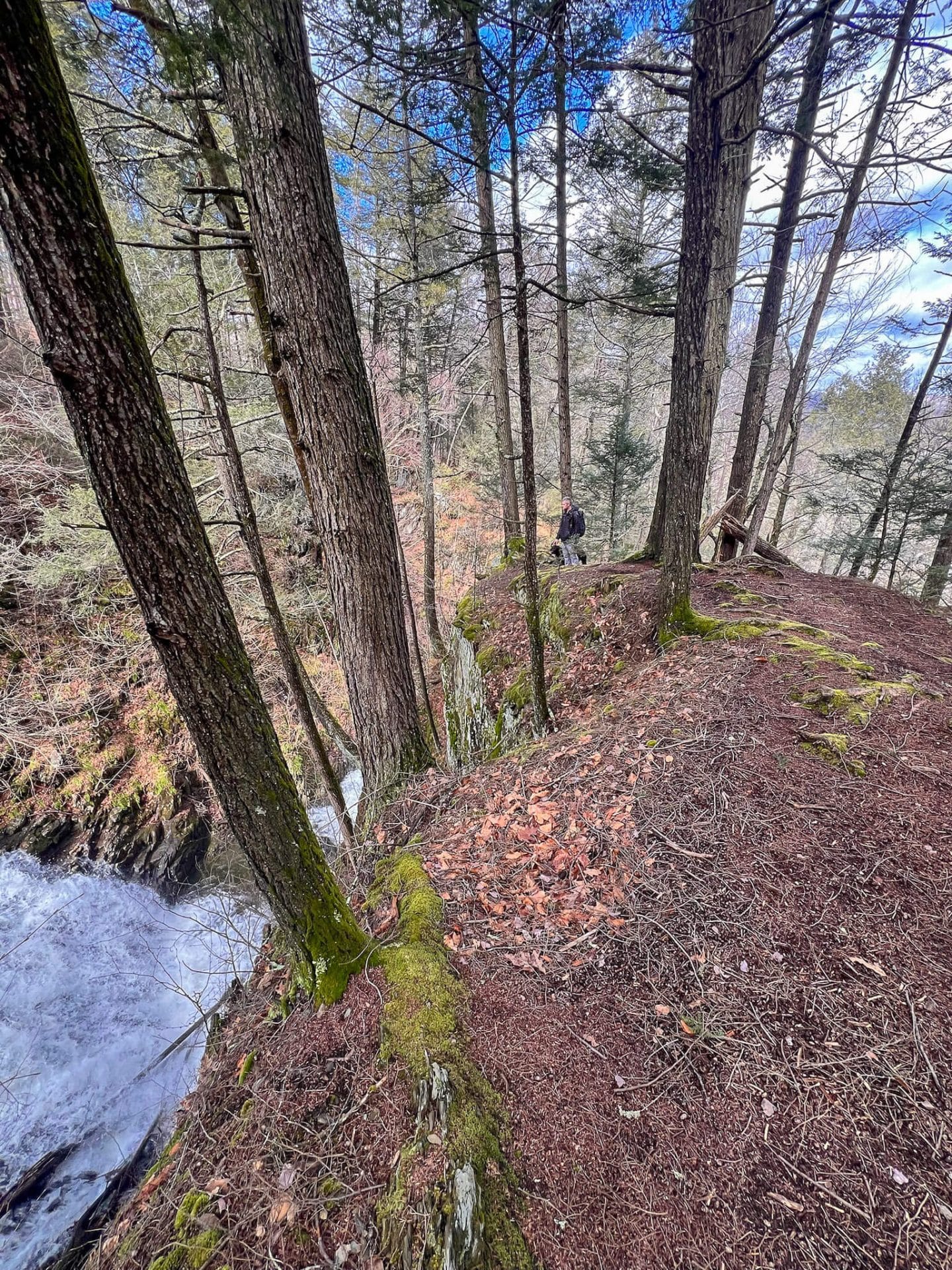 waterfall hike in chester-blandford forest