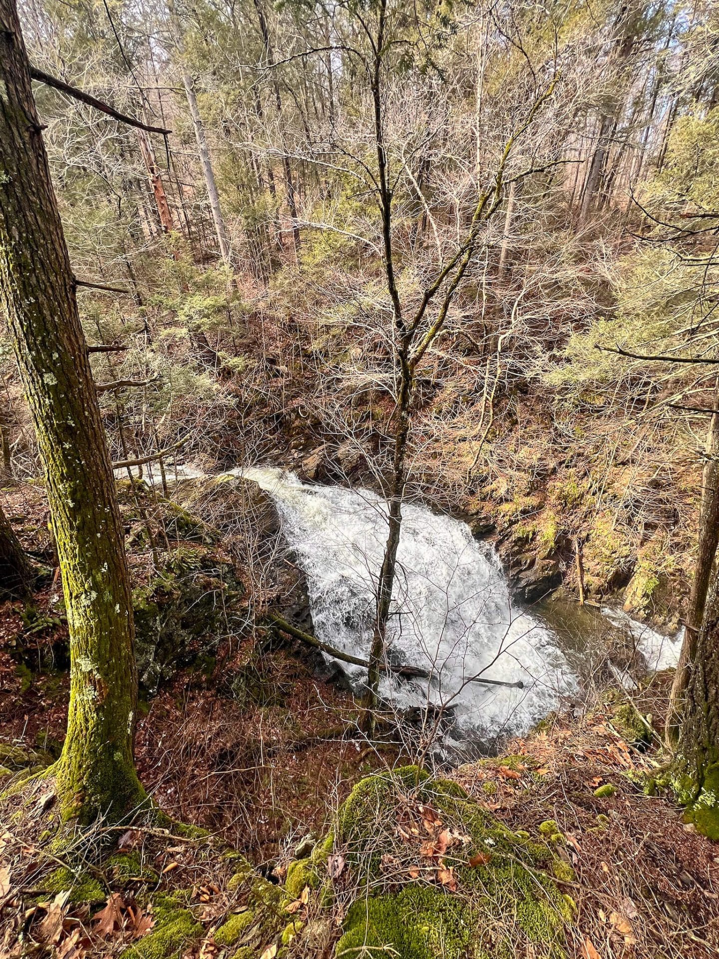 waterfall hike in chester-blandford forest