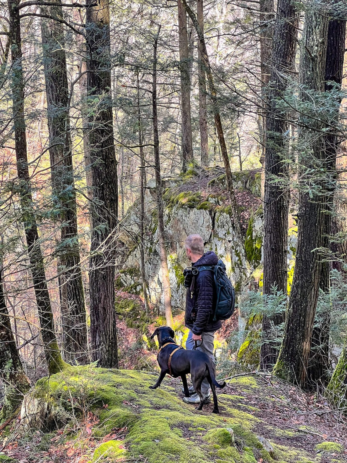 waterfall hike in chester-blandford forest