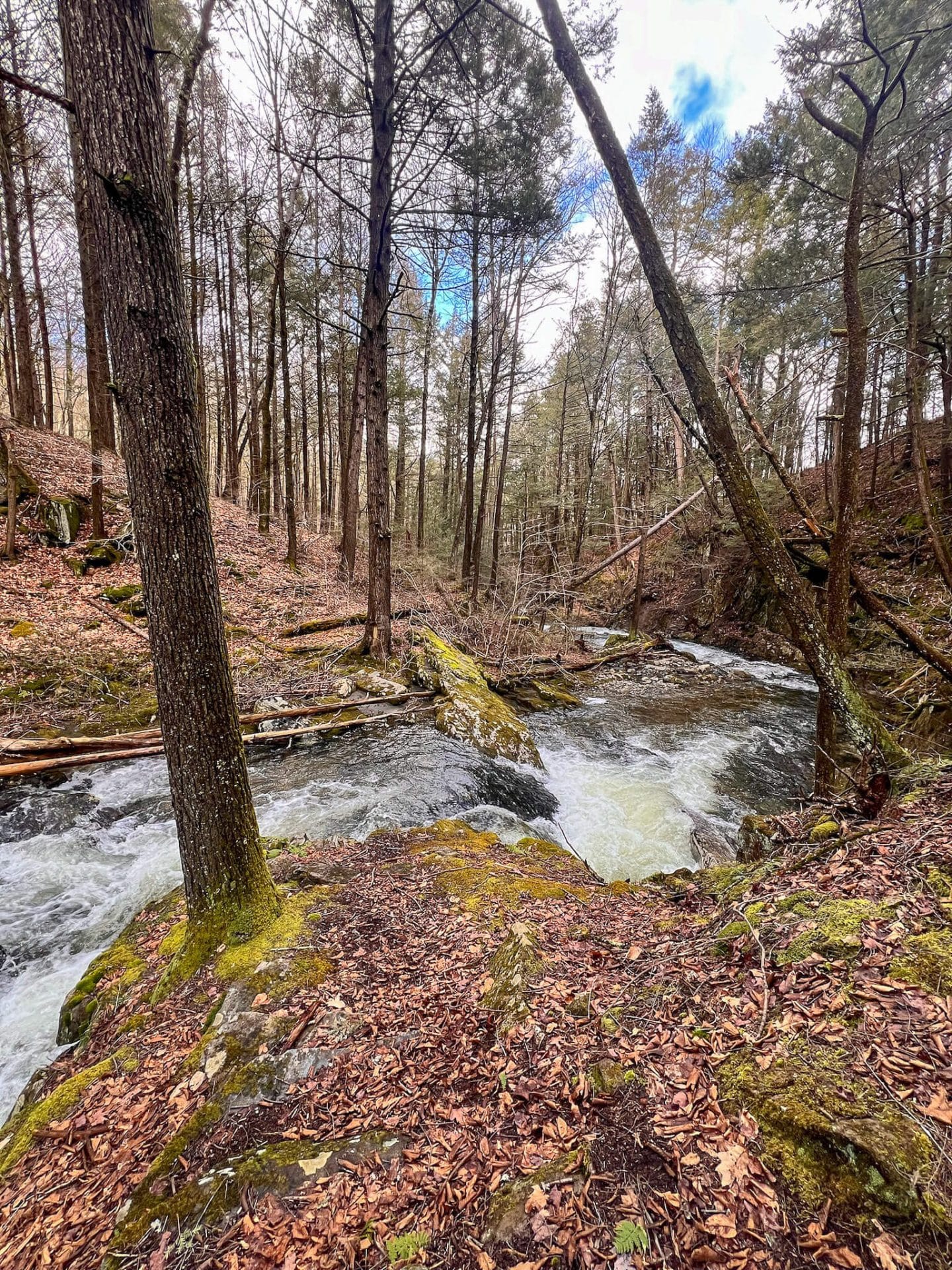 waterfall in chester-blandford forest