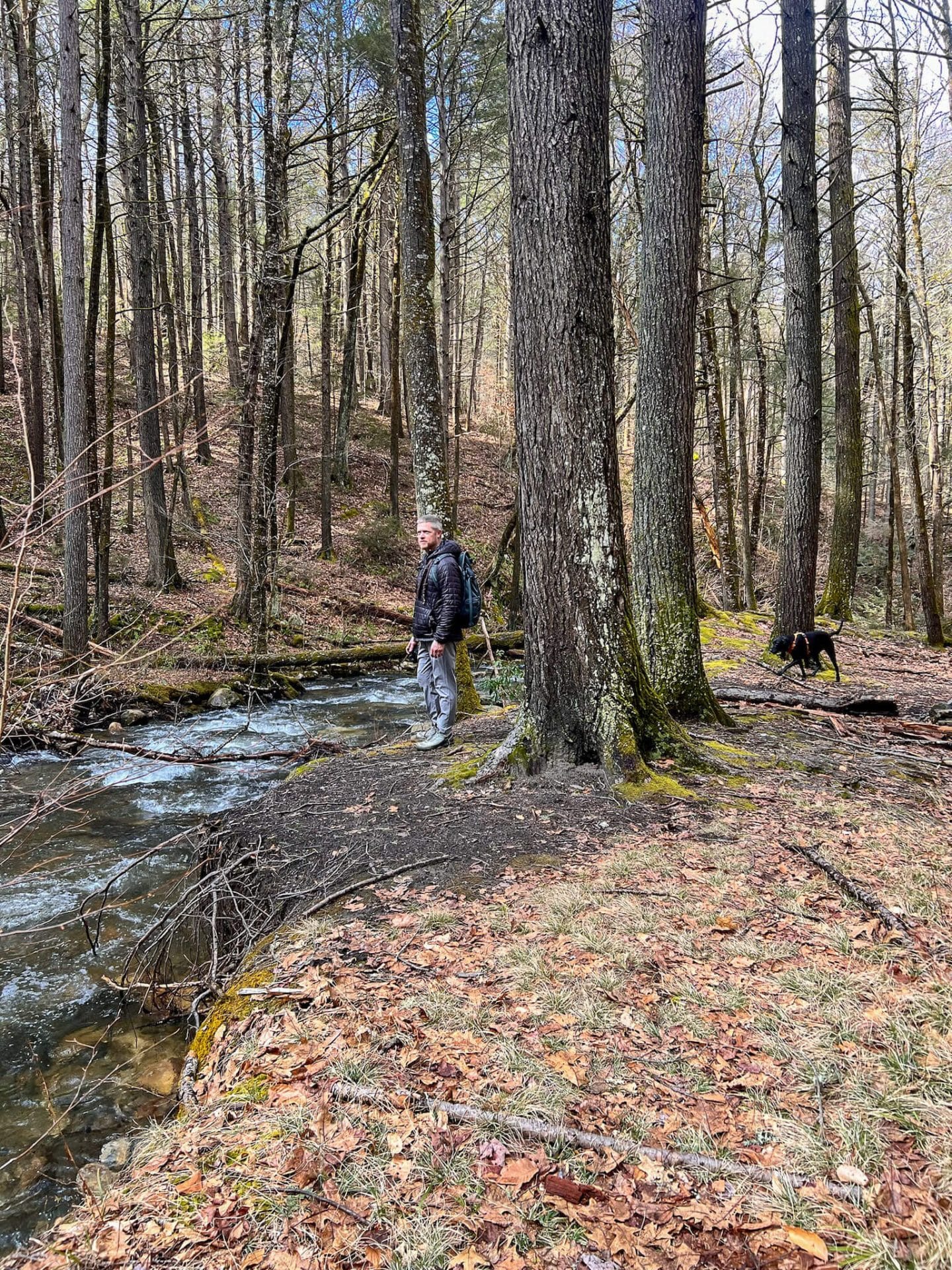 hike along sanderson brook in chester ma