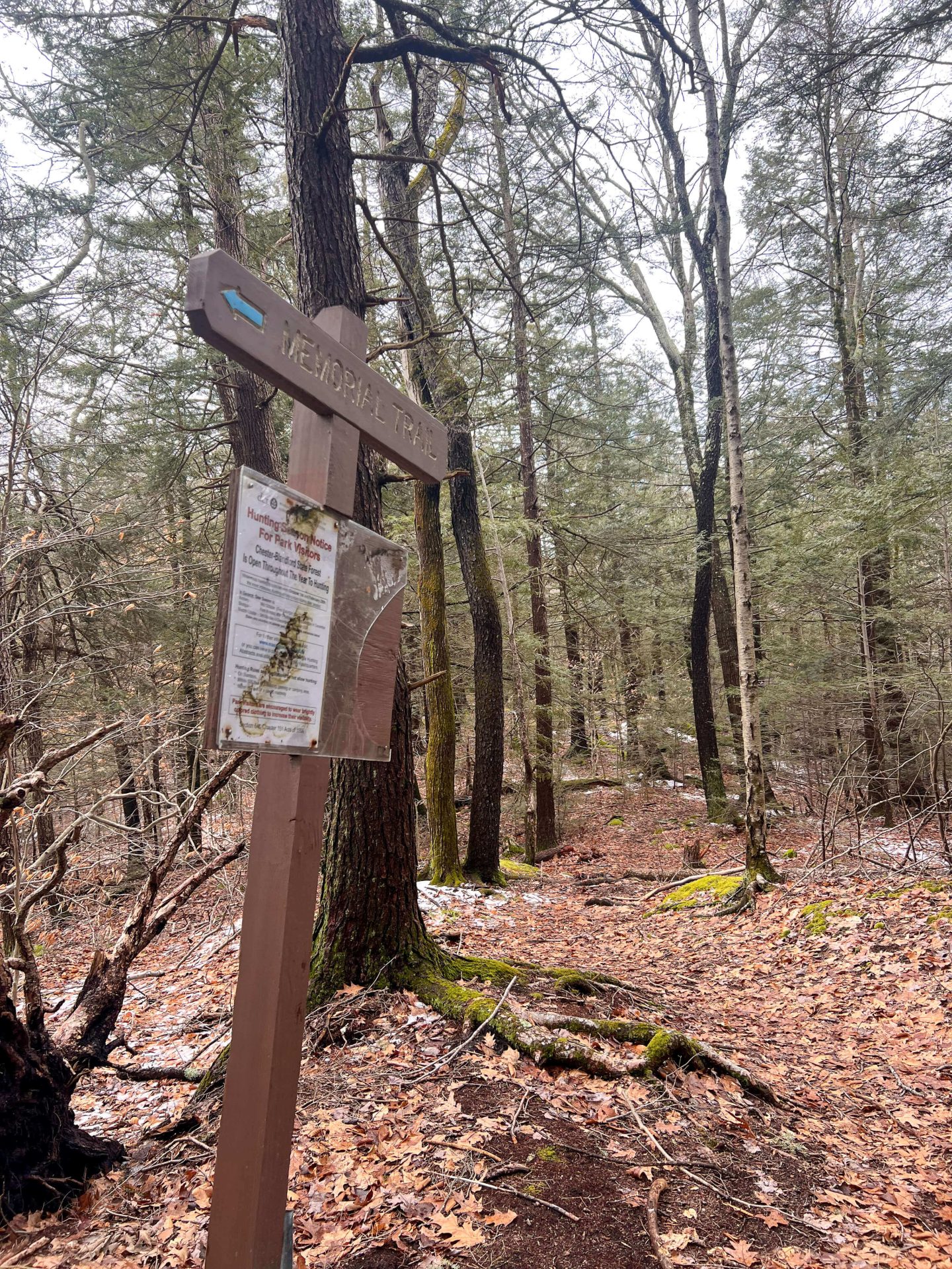 trail sign on the trail to sanderson falls brook loop