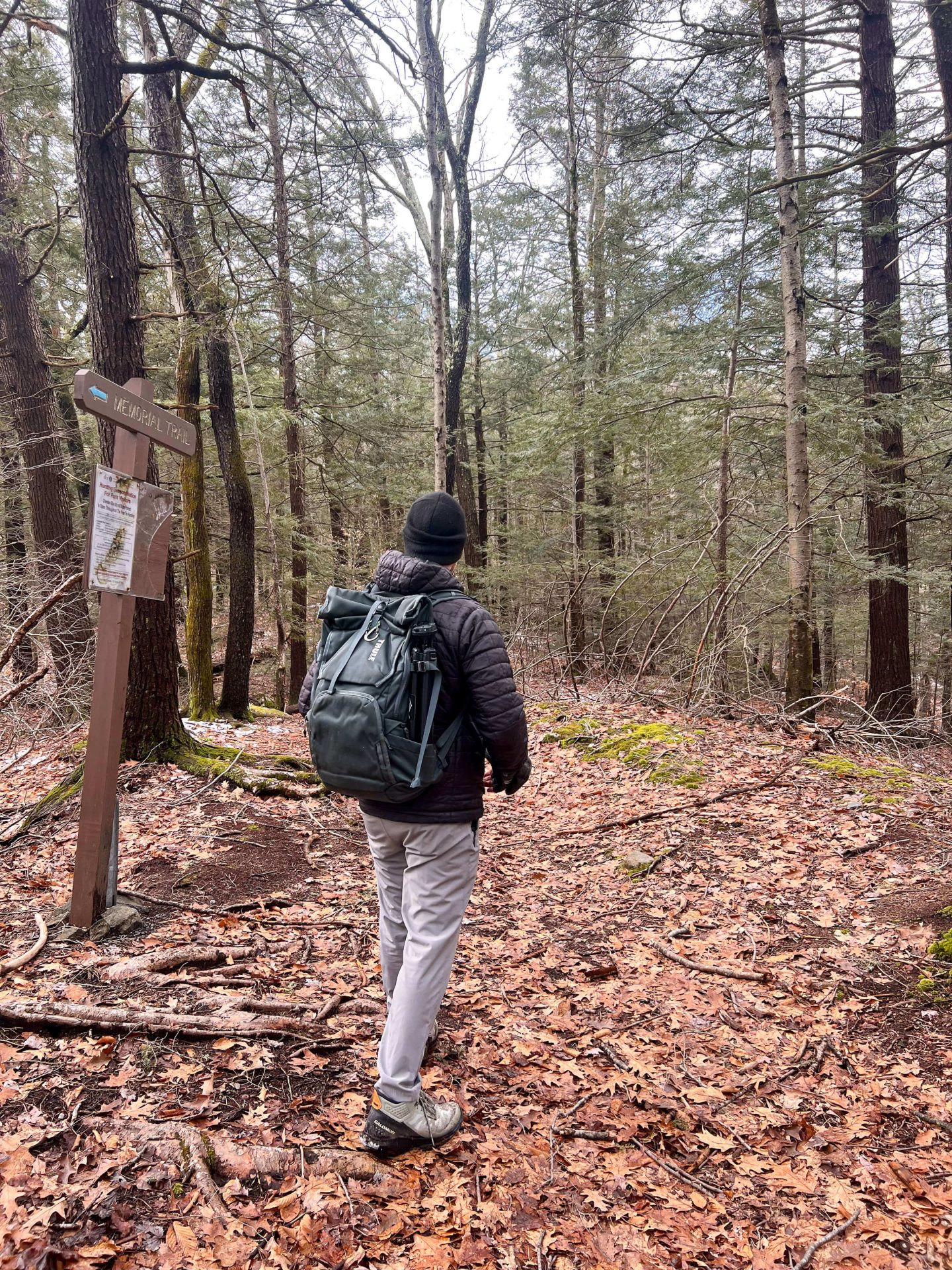 man hiking on the trail to sanderson falls brook loop