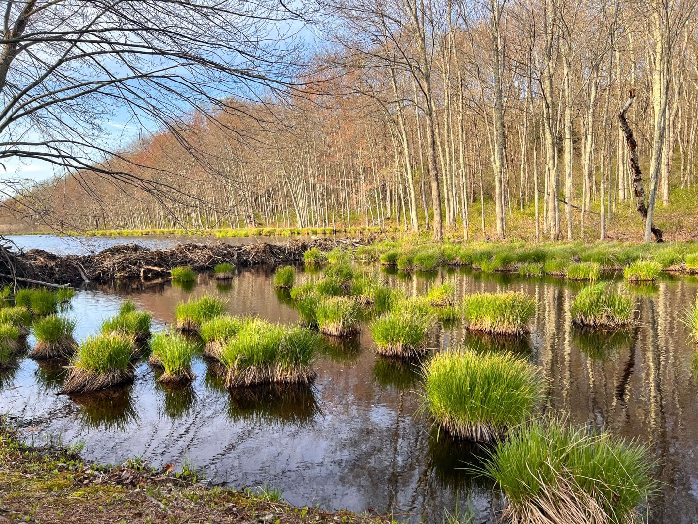 must see outdoor place in connecticut