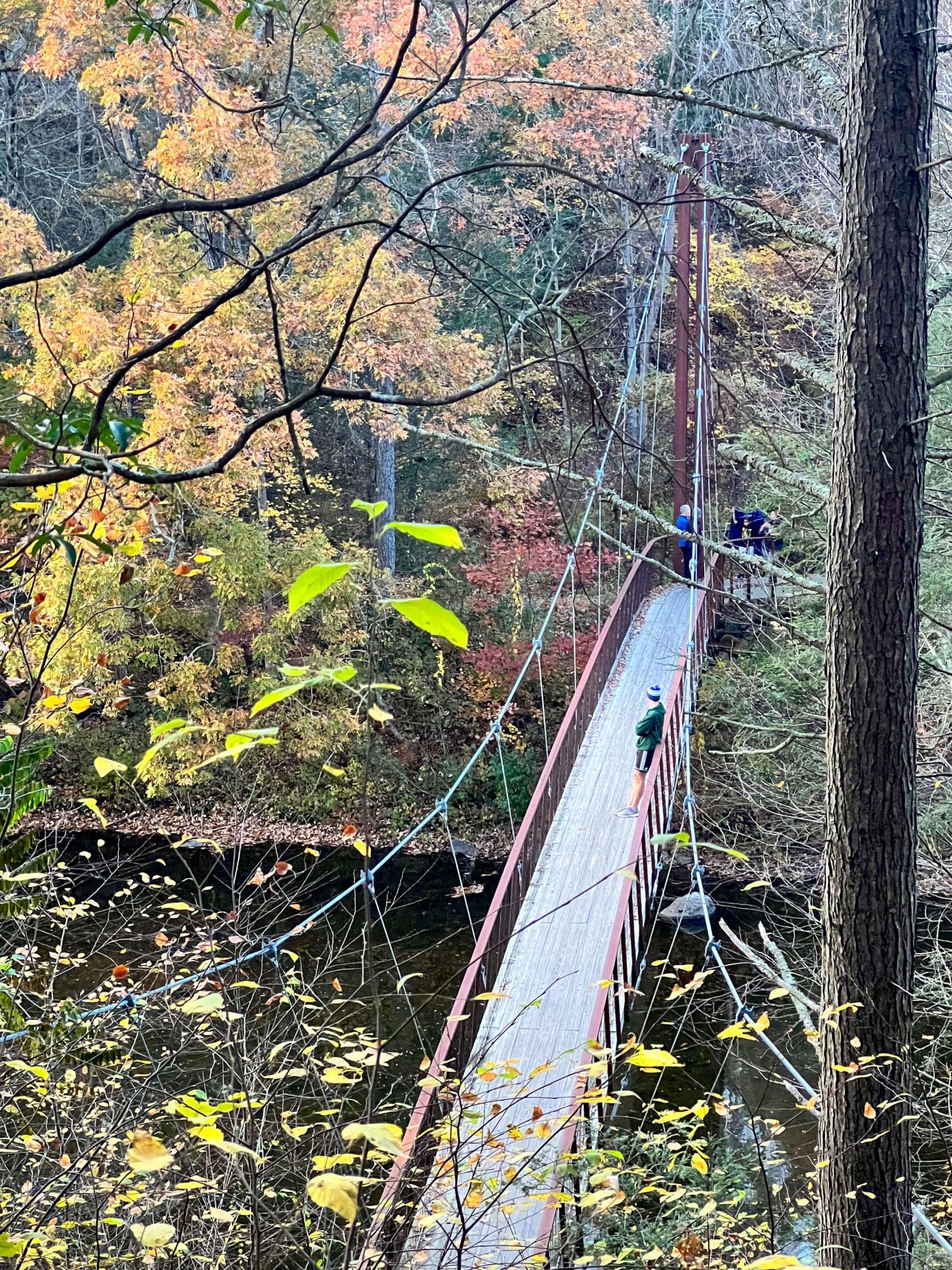 hidden valley preserve hanging bridge