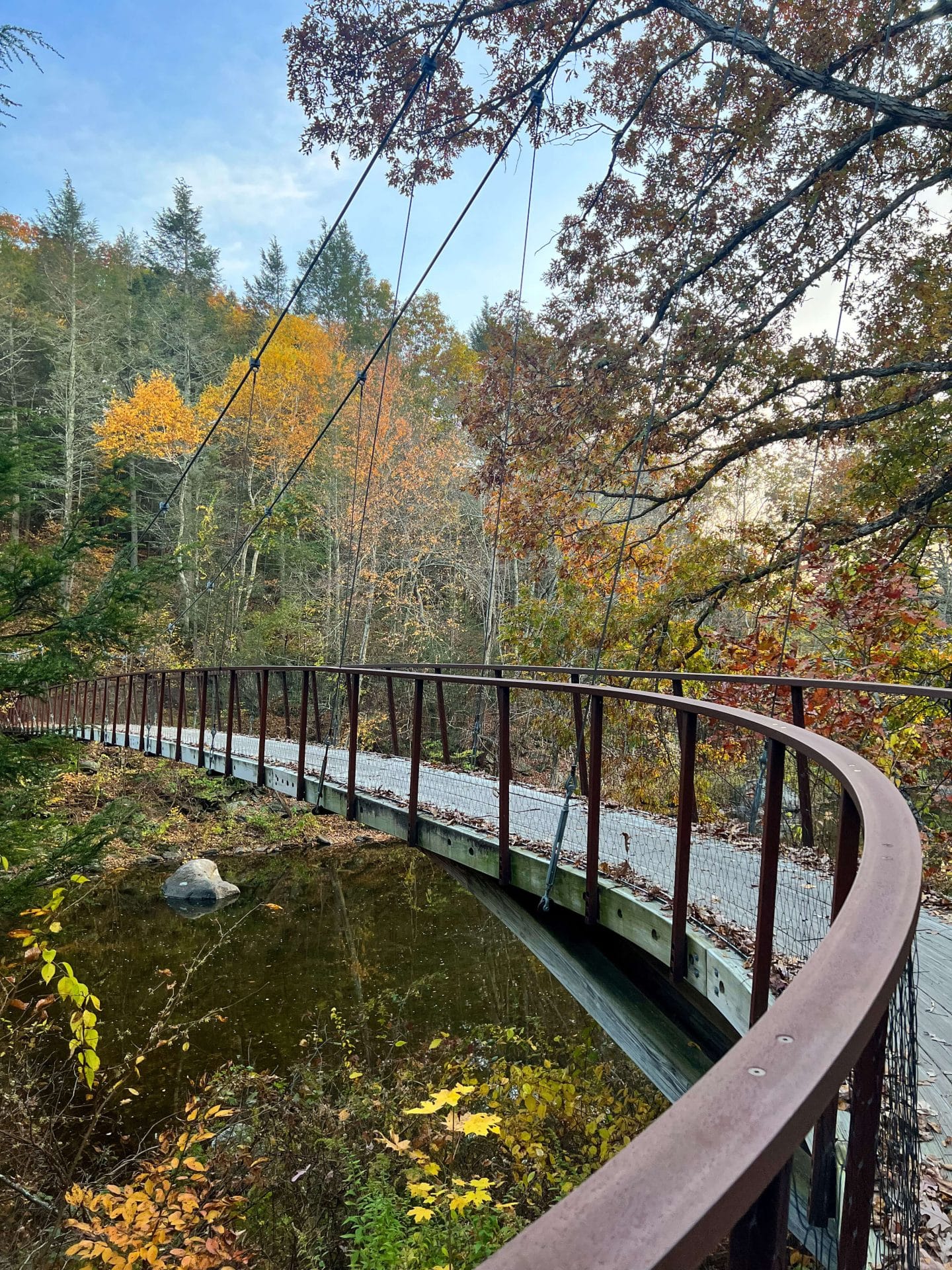hidden valley preserve hanging bridge in fall