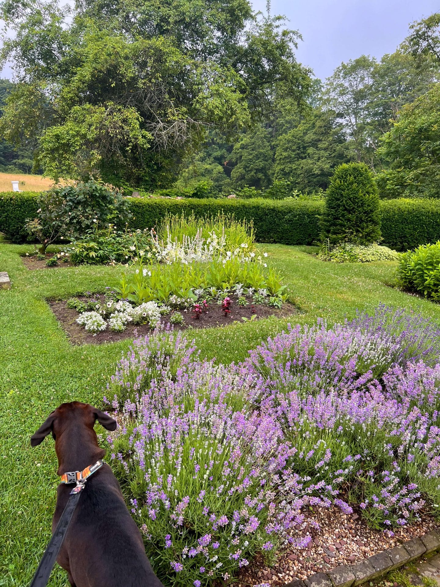 gardens at hillstead in farmington ct