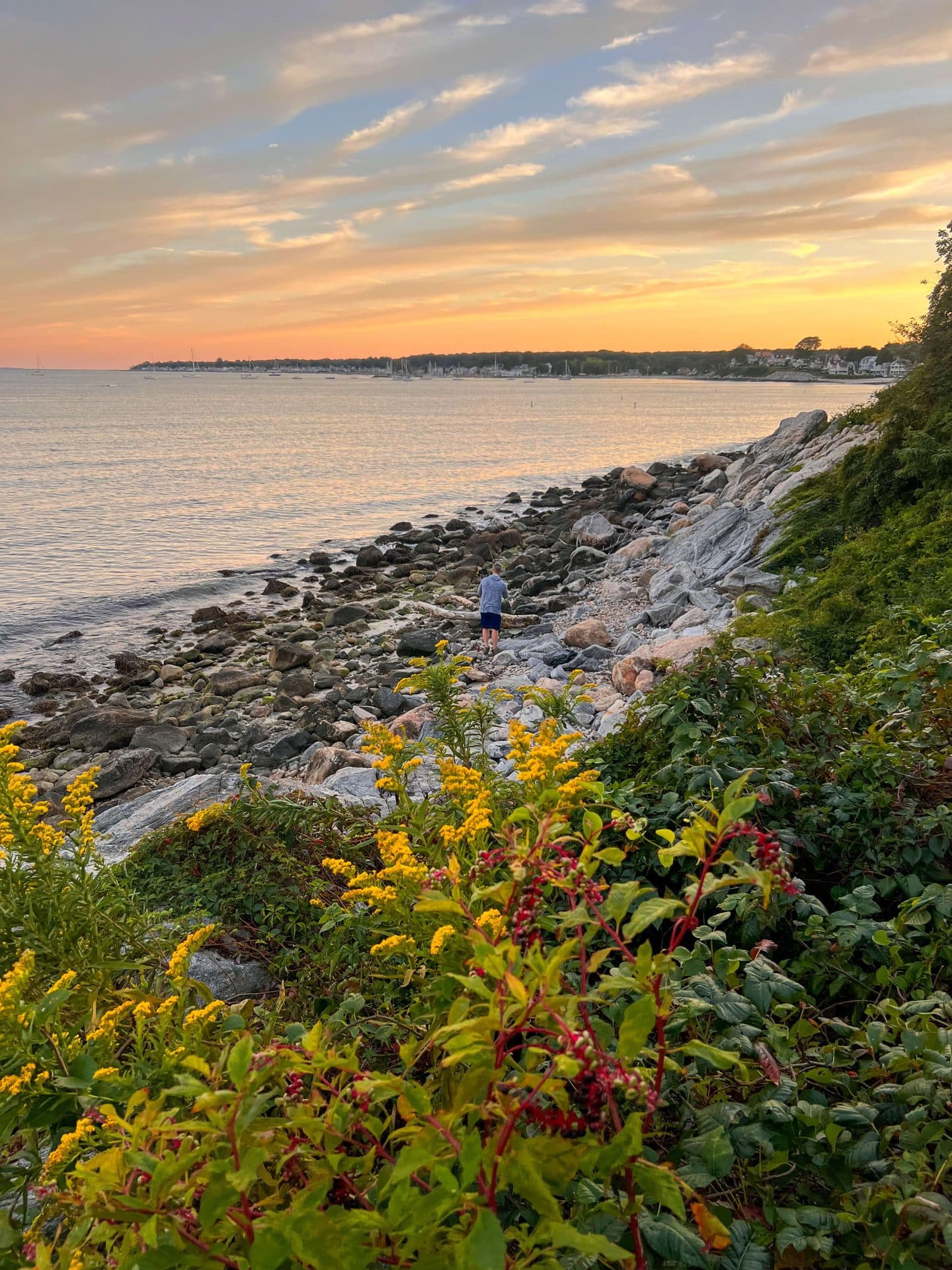 connecticut beach at sunset with yellow flowers