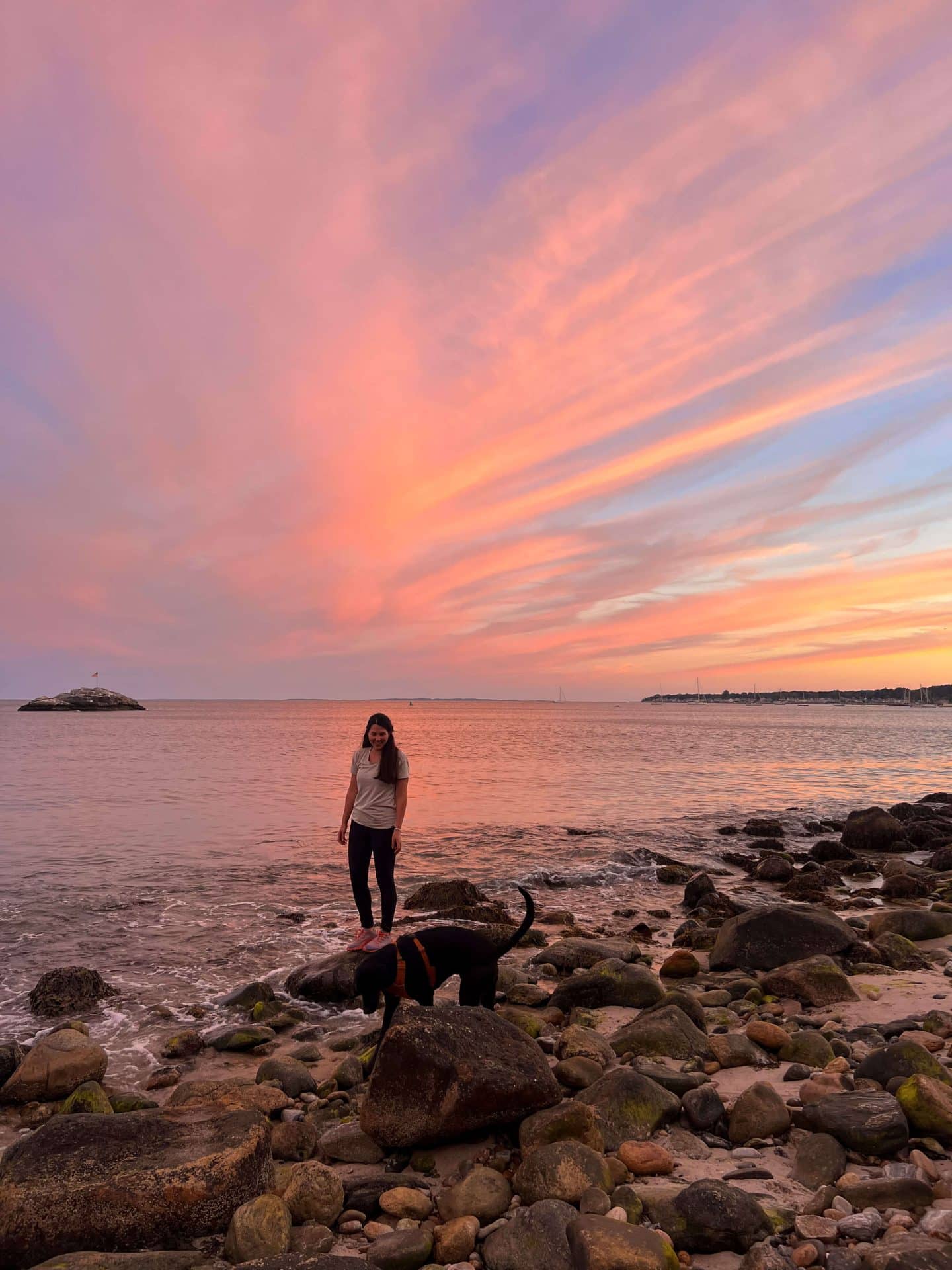 scenic connecticut beach at sunset with pink skies and woman and dog