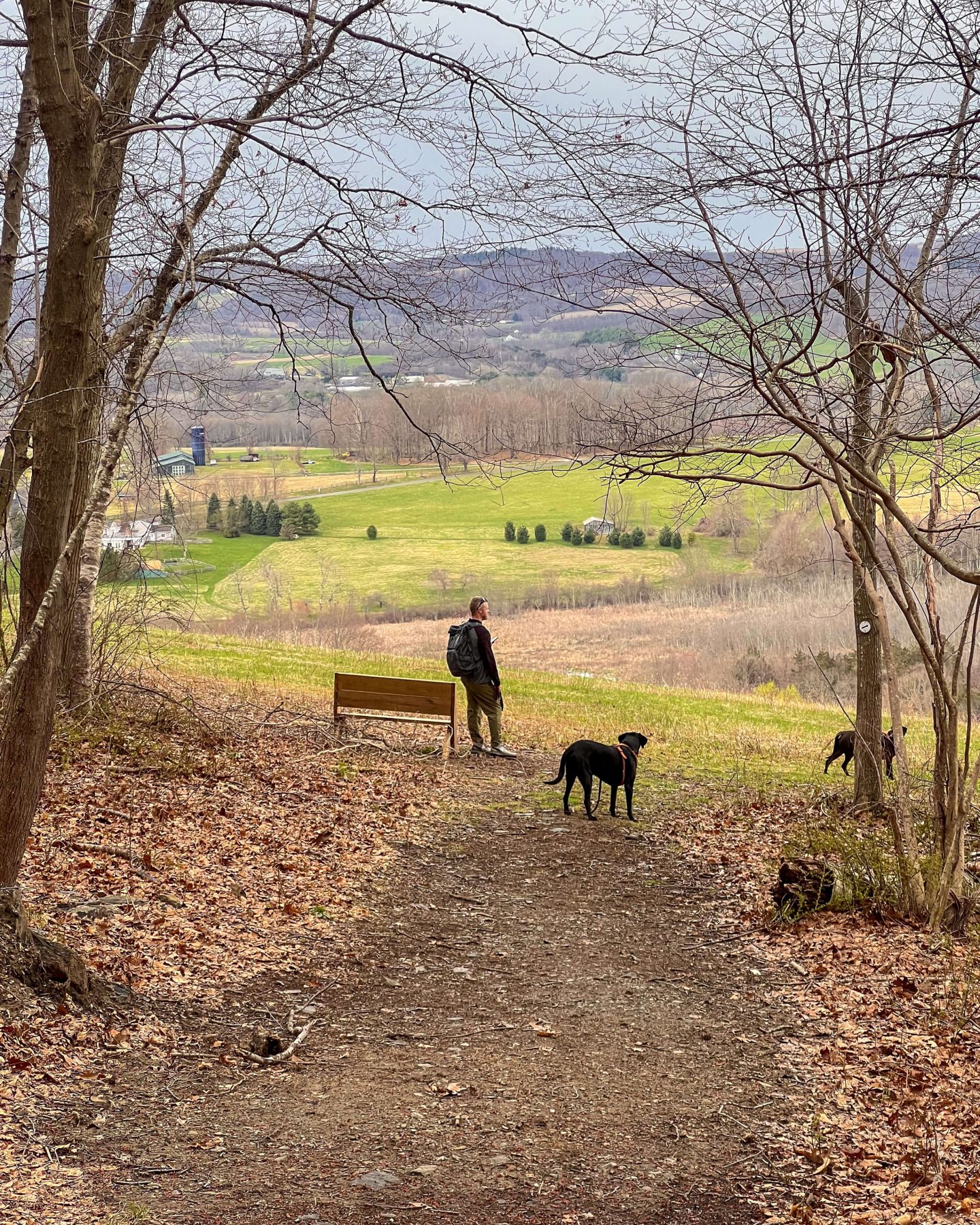 man and dog hiking at sharon land trust property in connecticut