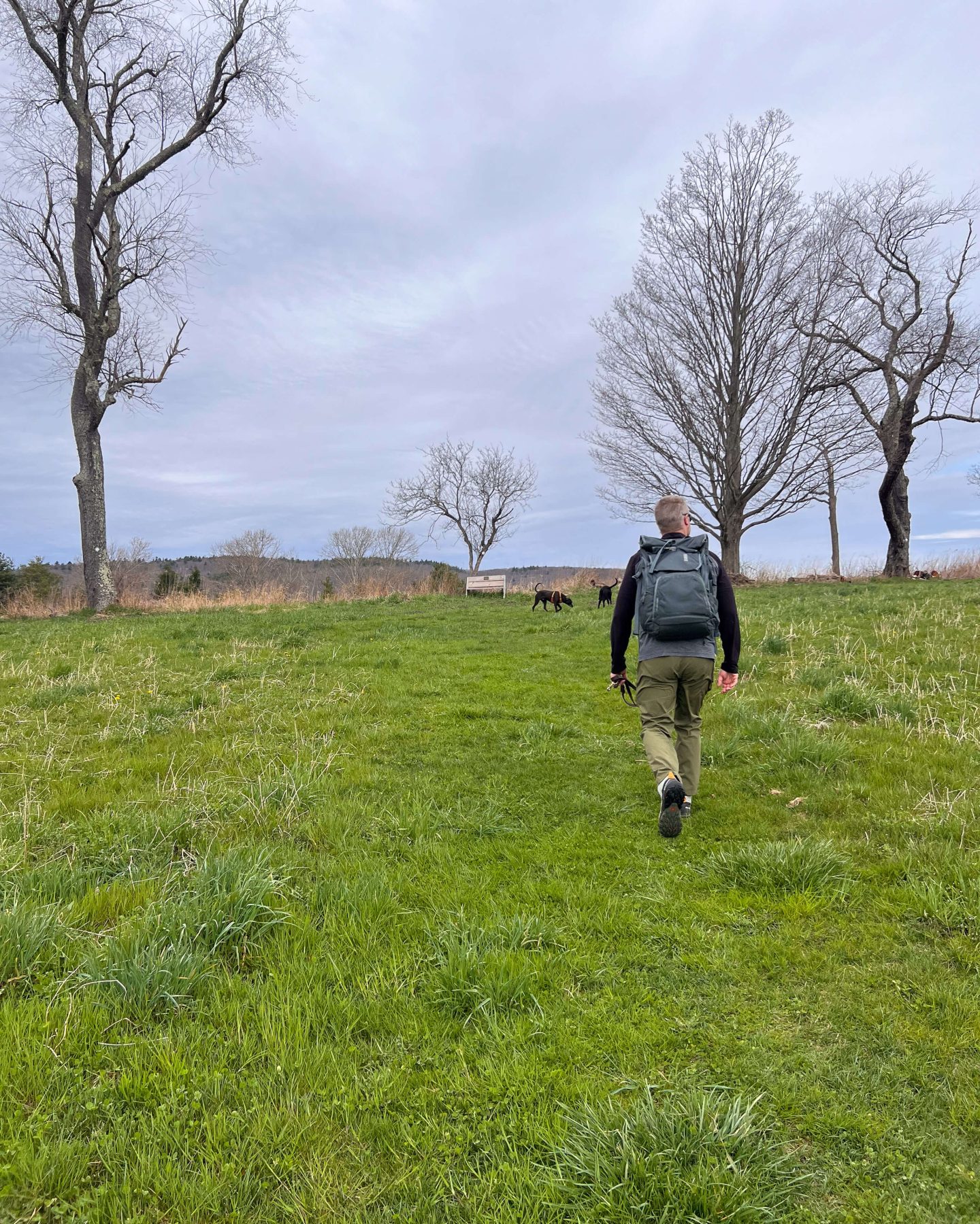 man walking at twin oaks land trust in sharon connecticut